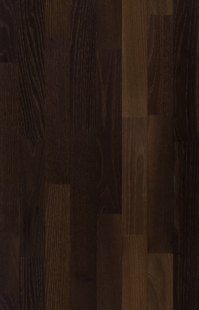 DLH_blat_kolor AKACJA PARZONA EUROPEJSKA