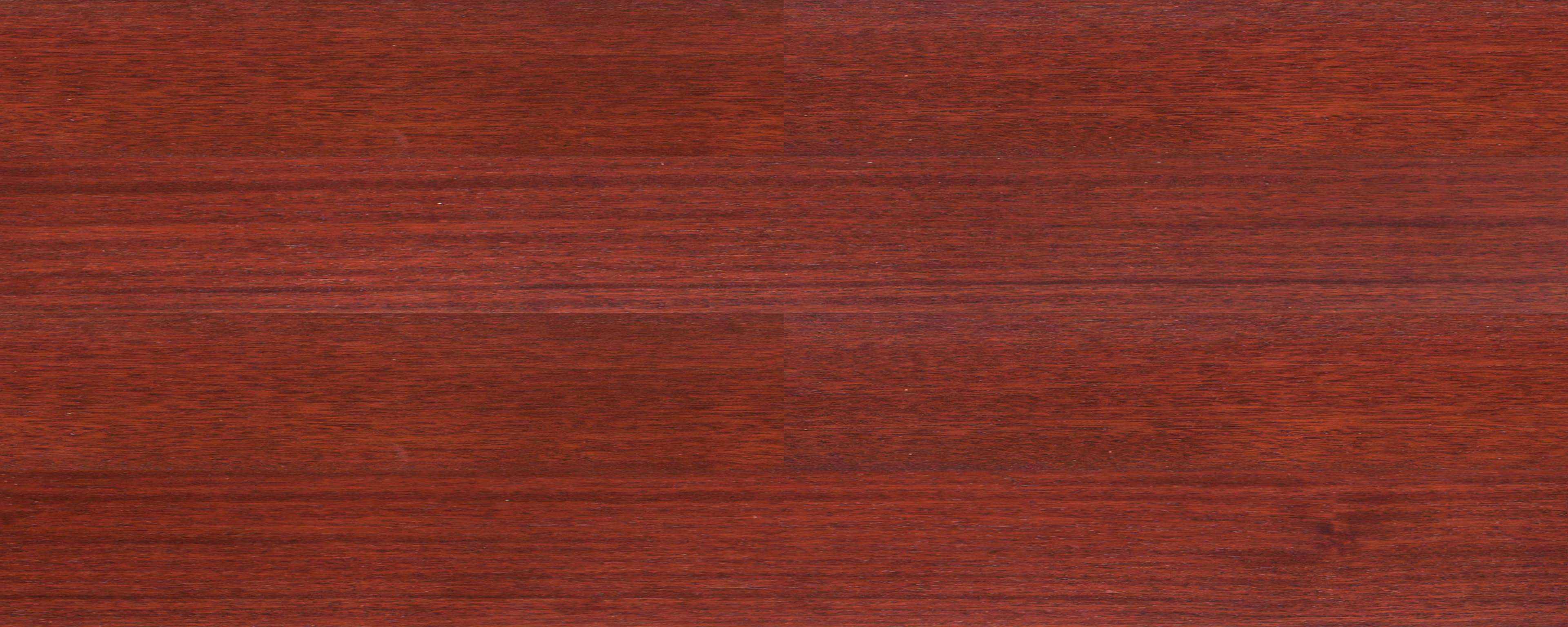 folder image
