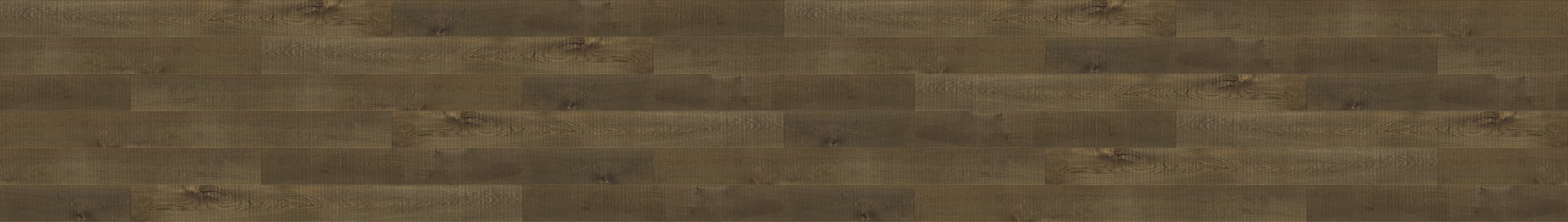 Chapel Hermitage Terra 1401.16.3 complex