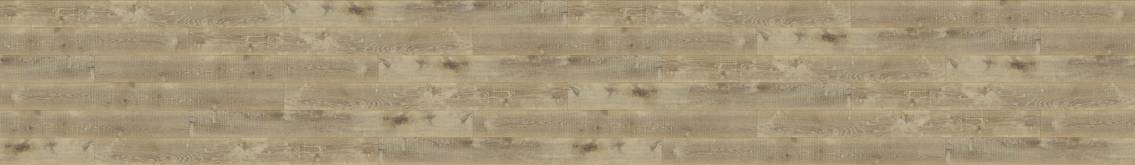 Chapel Convent Down 1606.31.3.18.1 complex