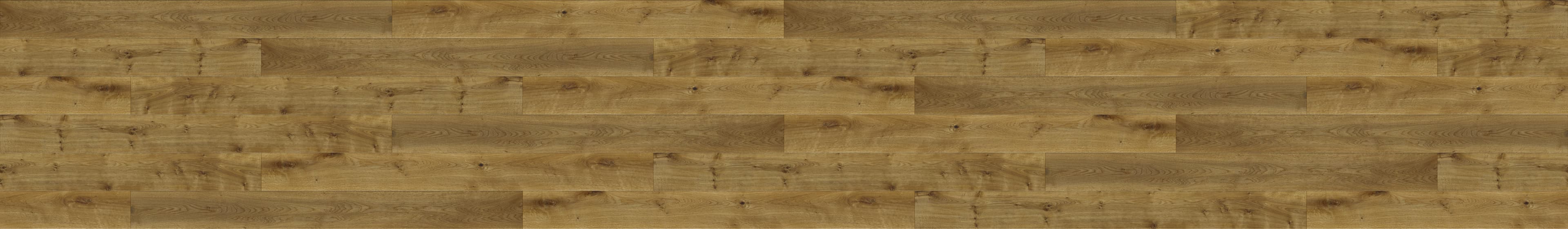 Kaple Katedrála 17. století Tónovaná 1306.05.3.18.1 komplexní