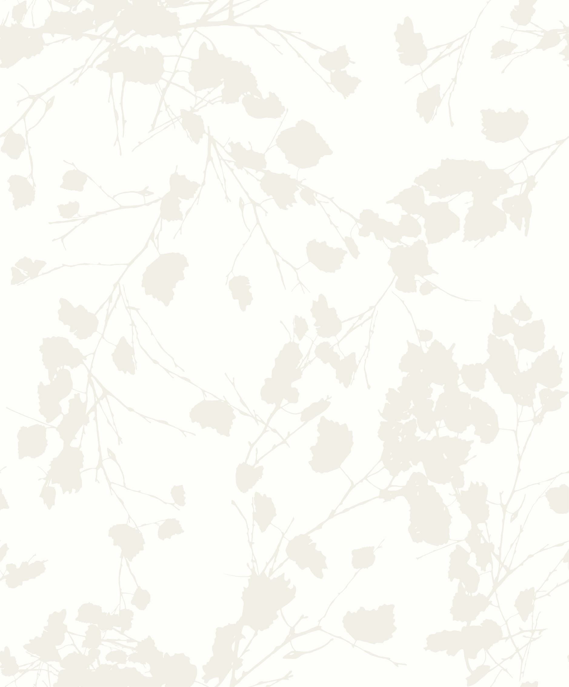 Botanic Garden 510222