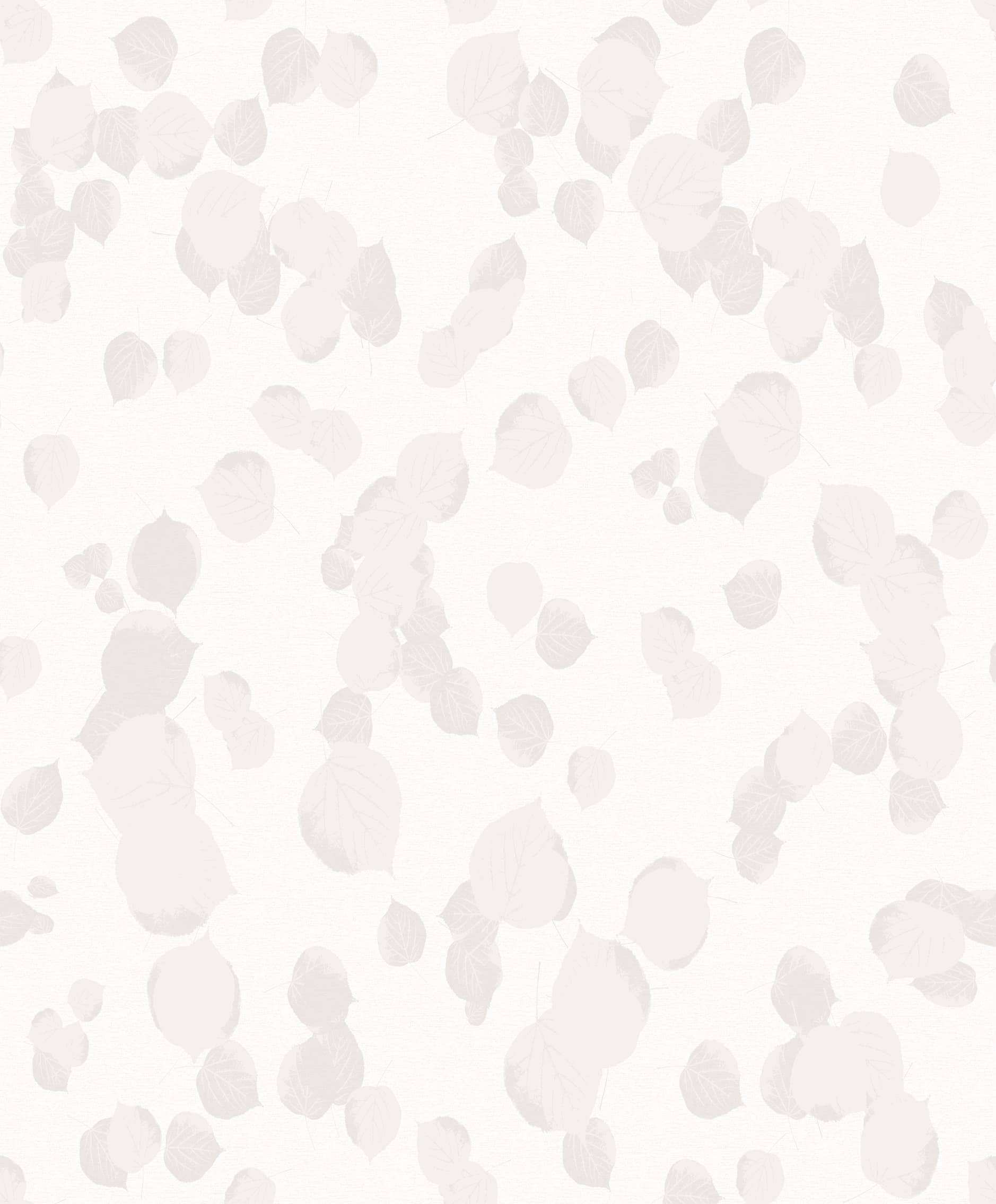 Royal Classic 481007