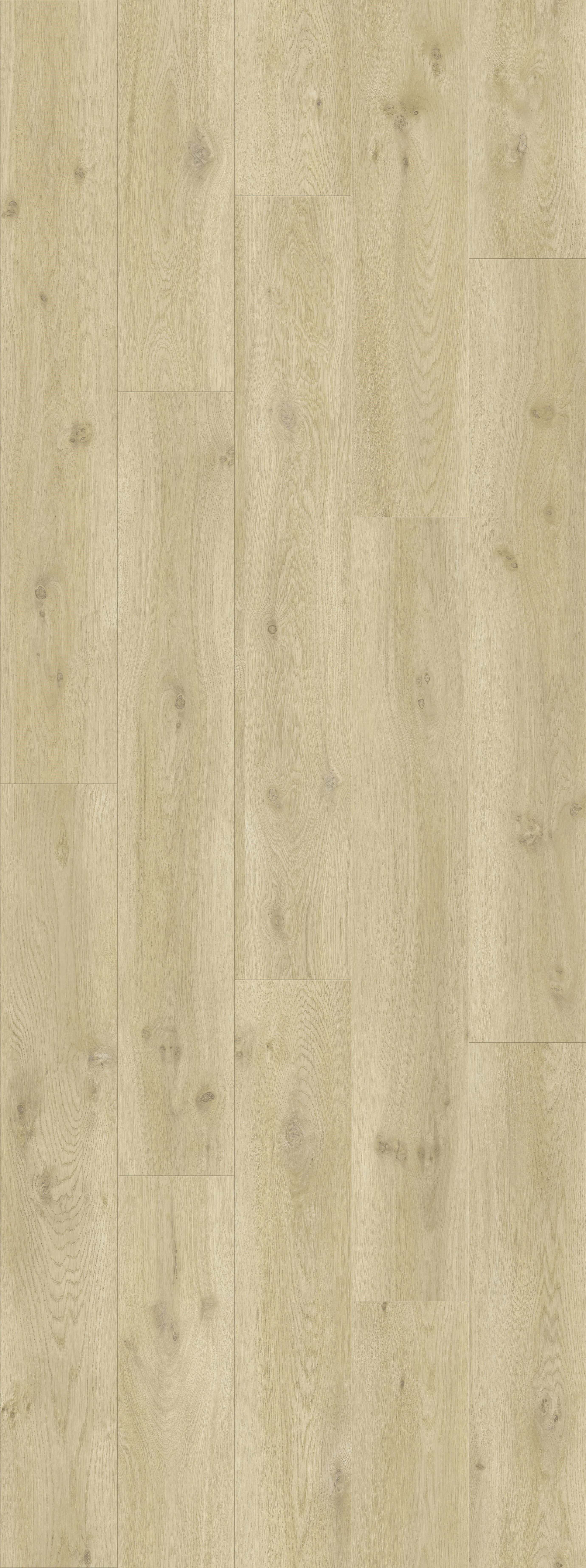 DAB NATURALNY NOWOCZESNY, DESKA (V2107-40018) 2502mm x 935mm