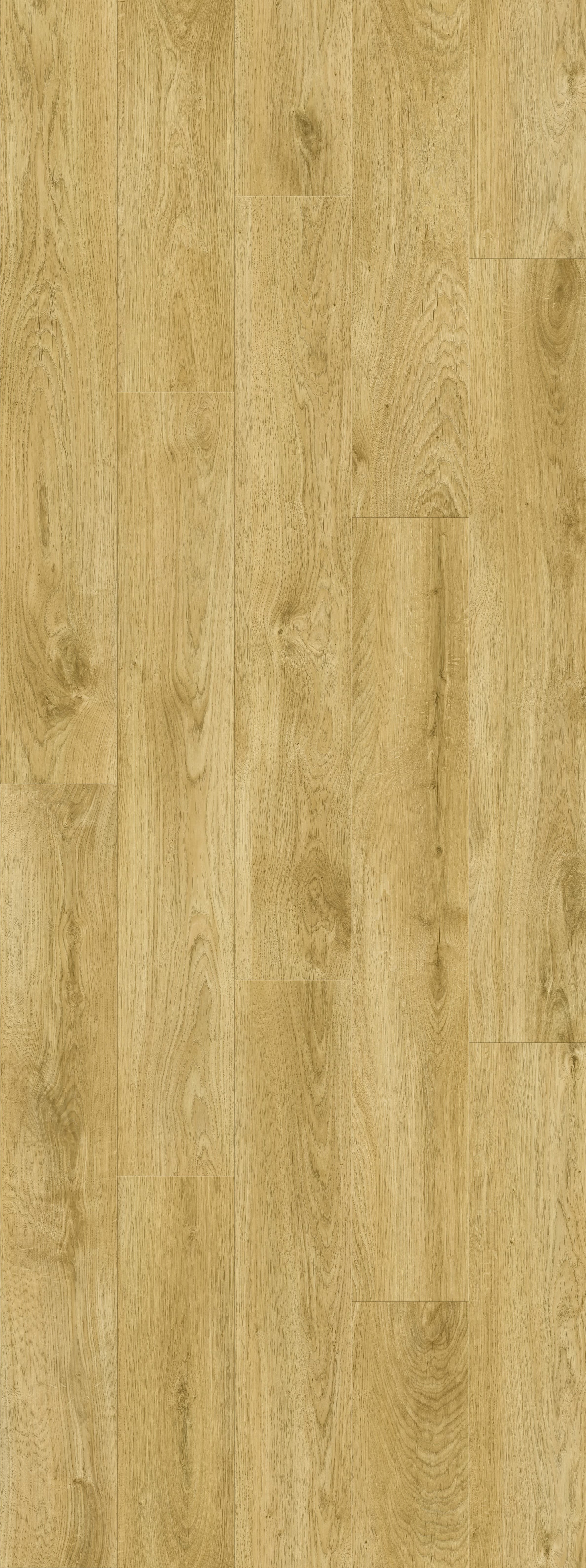 DAB NATURALNY KLASYCZNY, DESKA (V2107-40023) 2502mm x 935mm