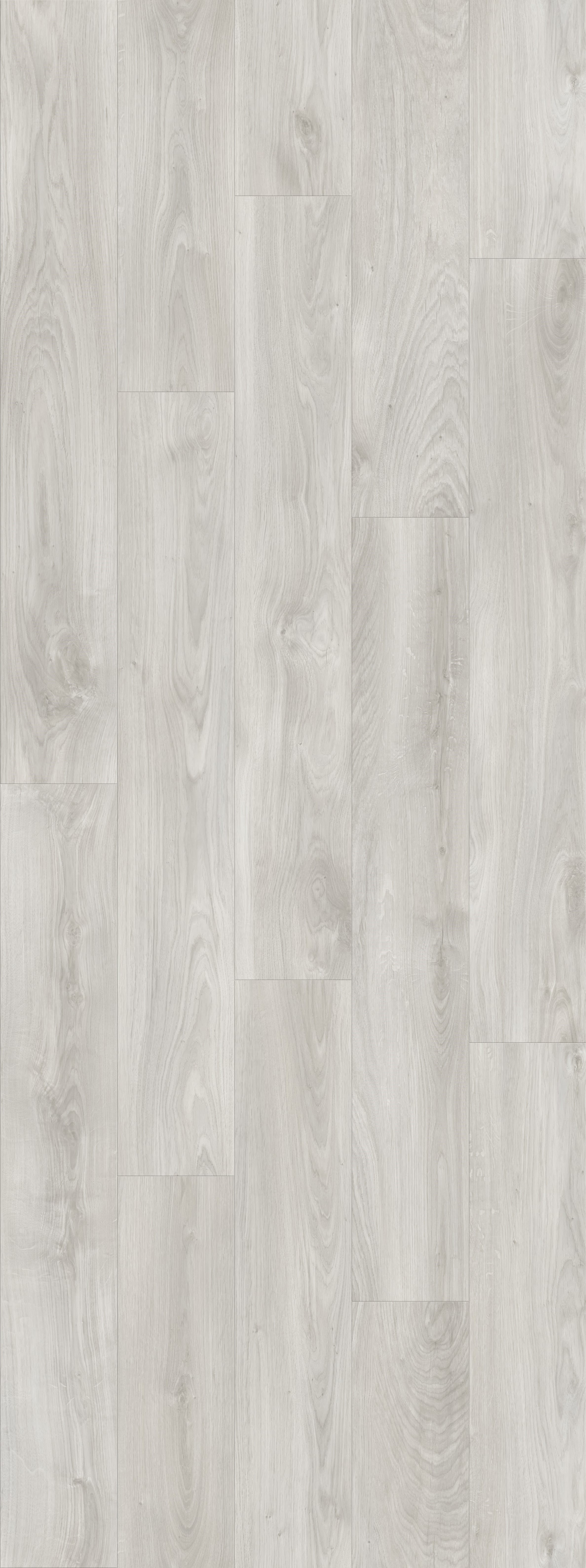 DAB GLADKI SZARY, DESKA (V2107-40036) 2502mm x 935mm