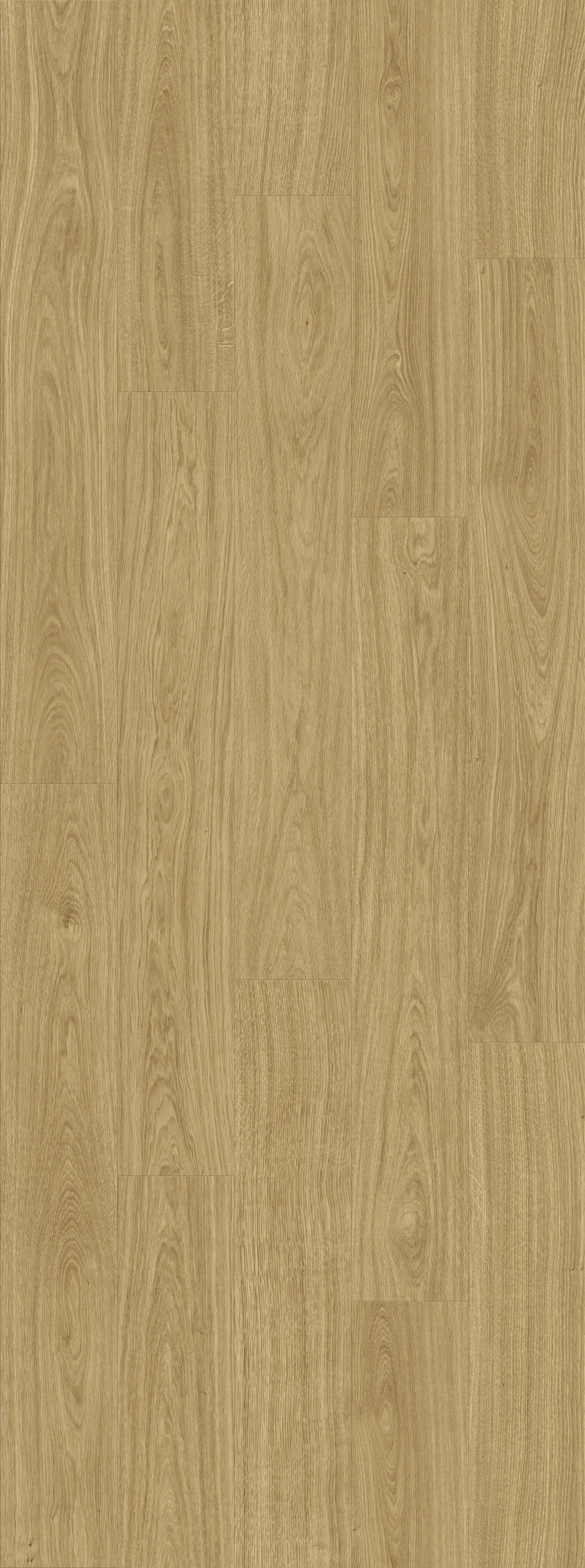 DAB NATURALNY ZLOTY DESKA (V2107-40022) 2502mm x 935mm