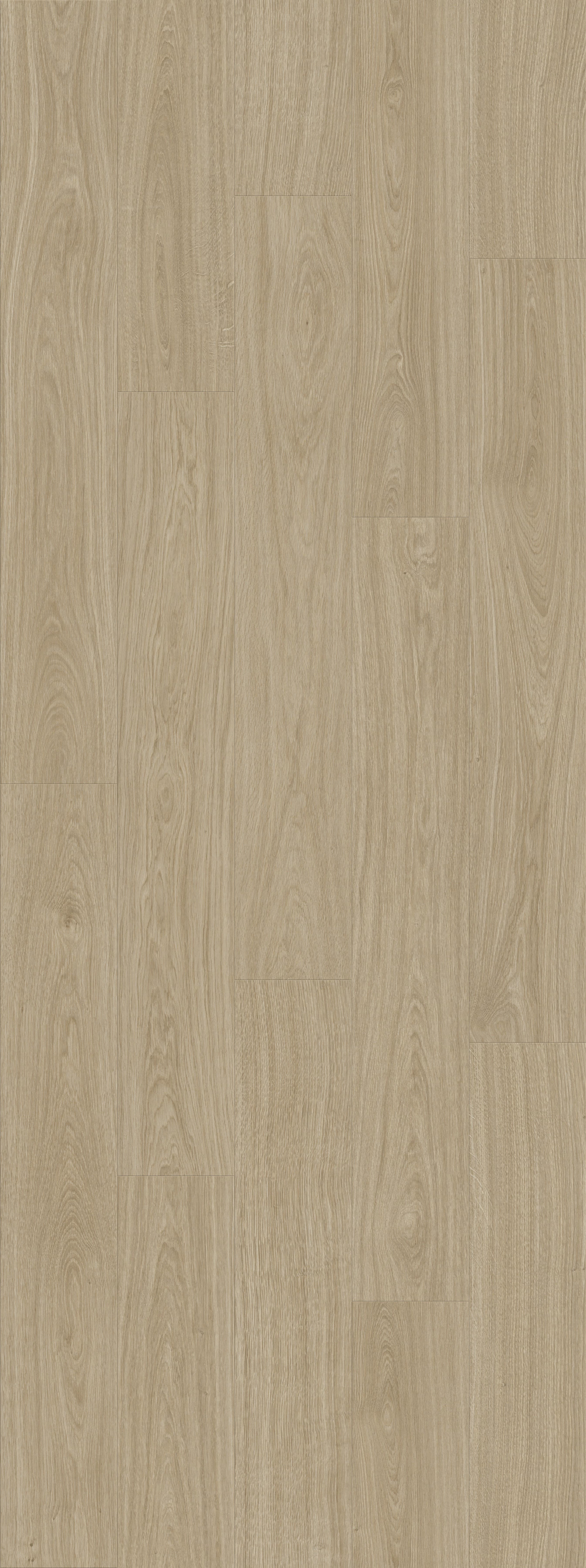 DAB NATURALNY JASNY (V2107-40021) 2502mm x 935mm