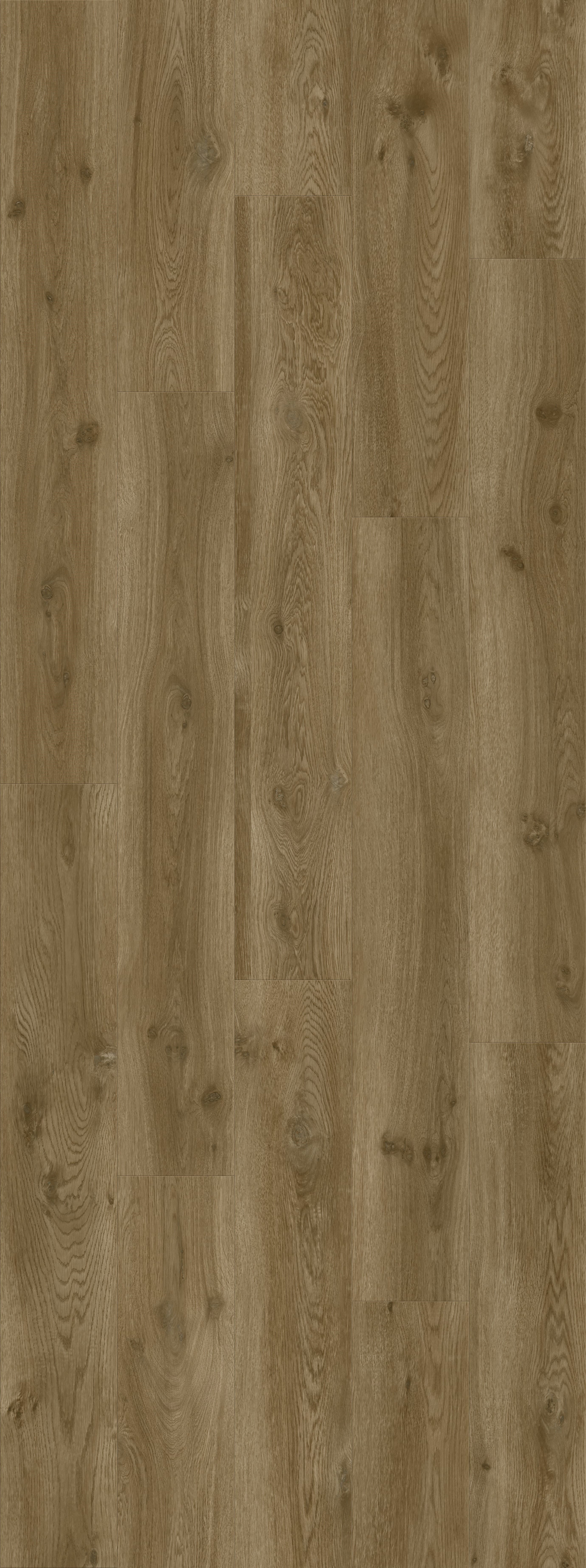 DAB NOWOCZESNY KAWOWY, DESKA (V2107-400190 2502mm x 935mm