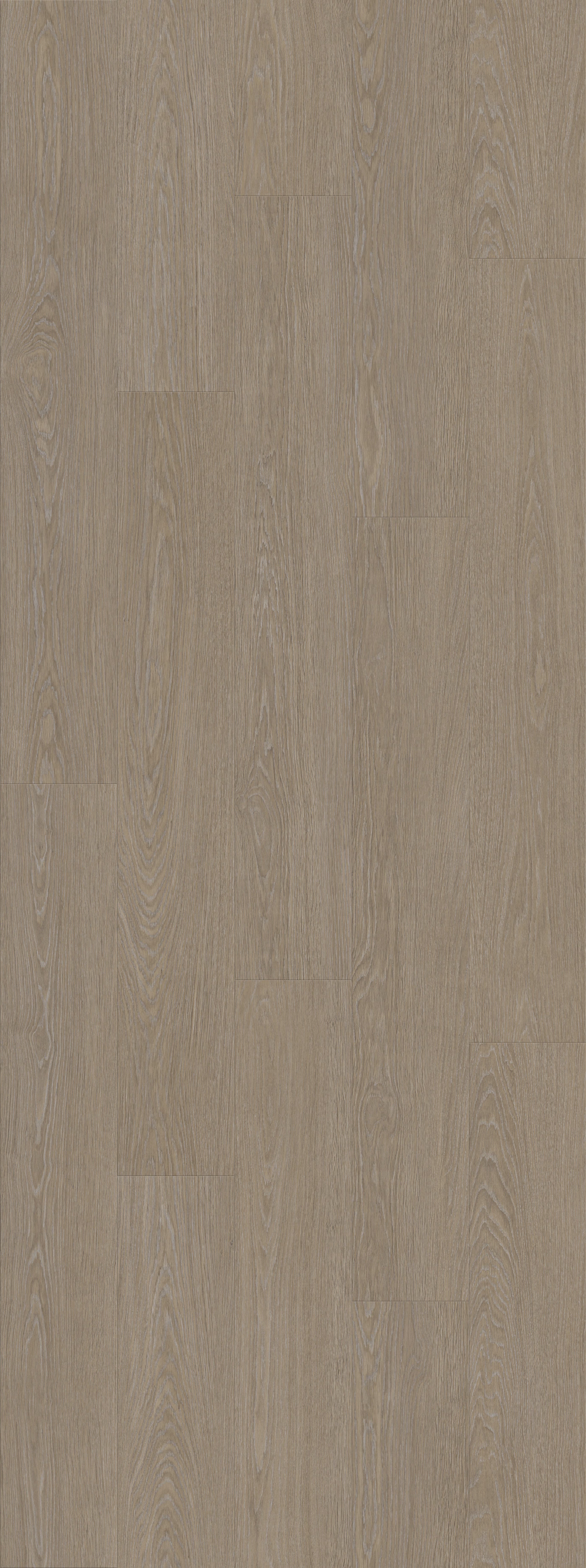 DAB DWORSKI NATURALNY (V2107-40014) 2502mm x 935mm
