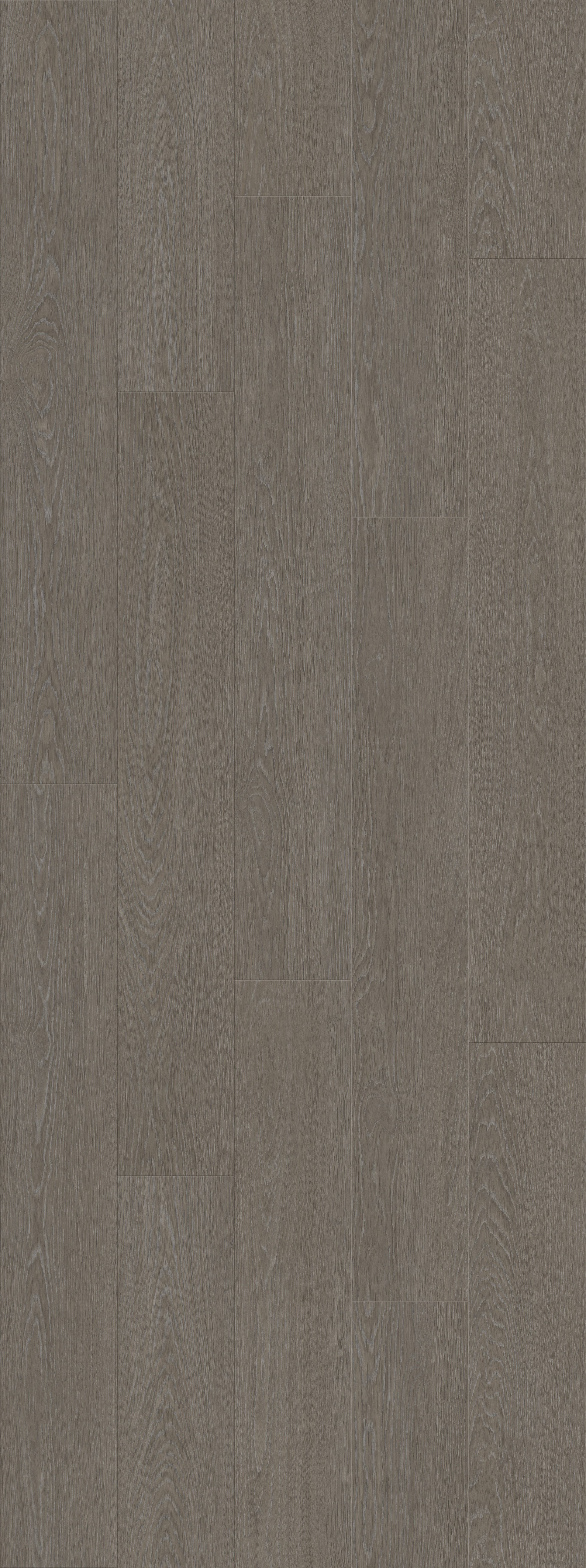 DAB DWORSKI TAUPE (V2107-40016) 2502mm x 935mm