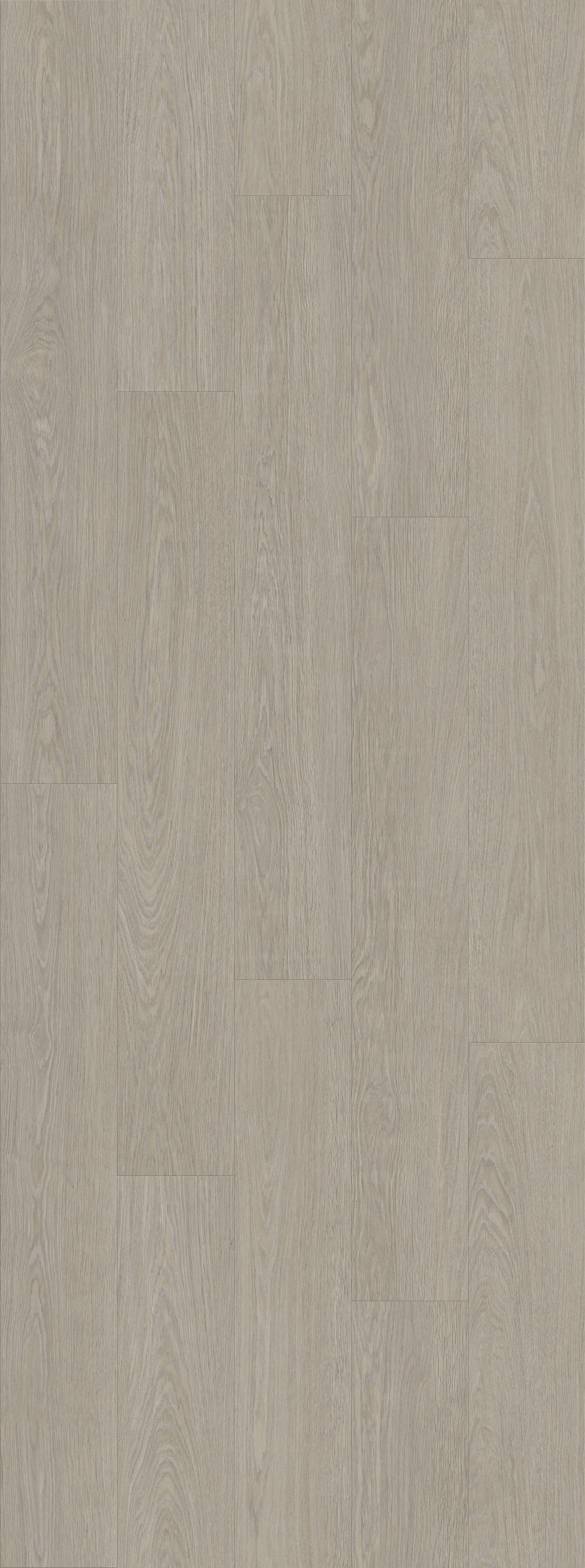 DAB DWORSKI CIEPLY SZARY (V3107-40015) 2502mm x 935mm