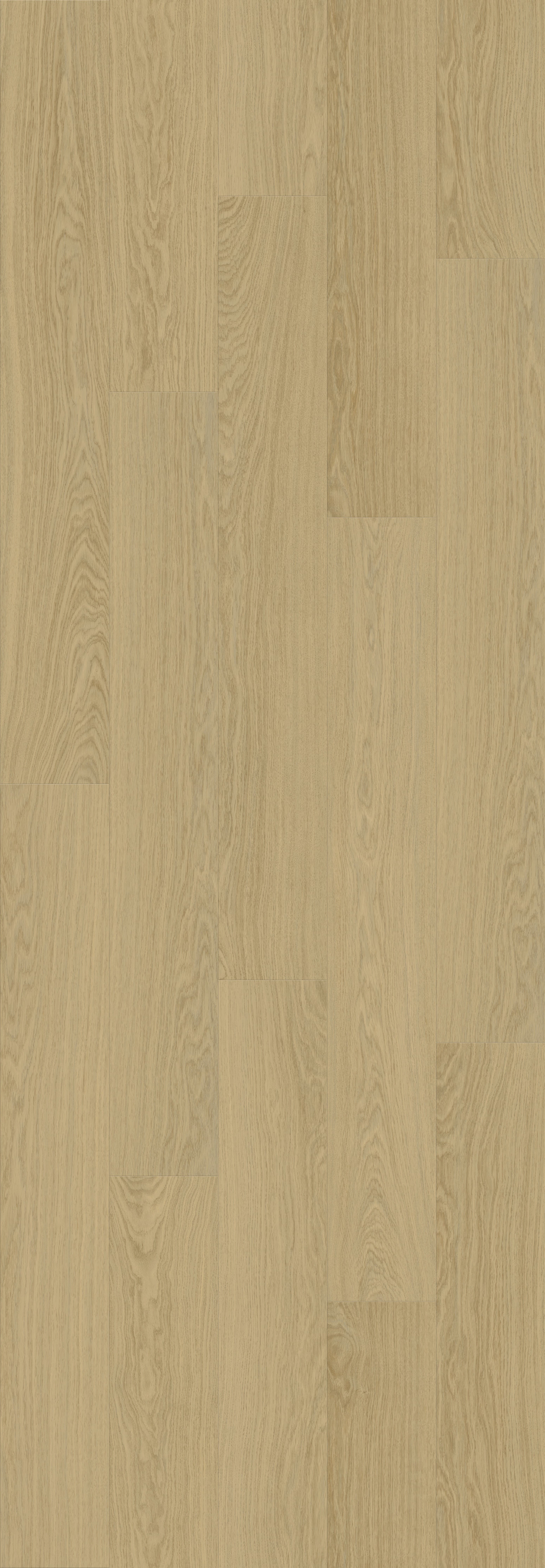 DAB BRYTYJSKI (V2131-40098) 3020mm x 1050mm