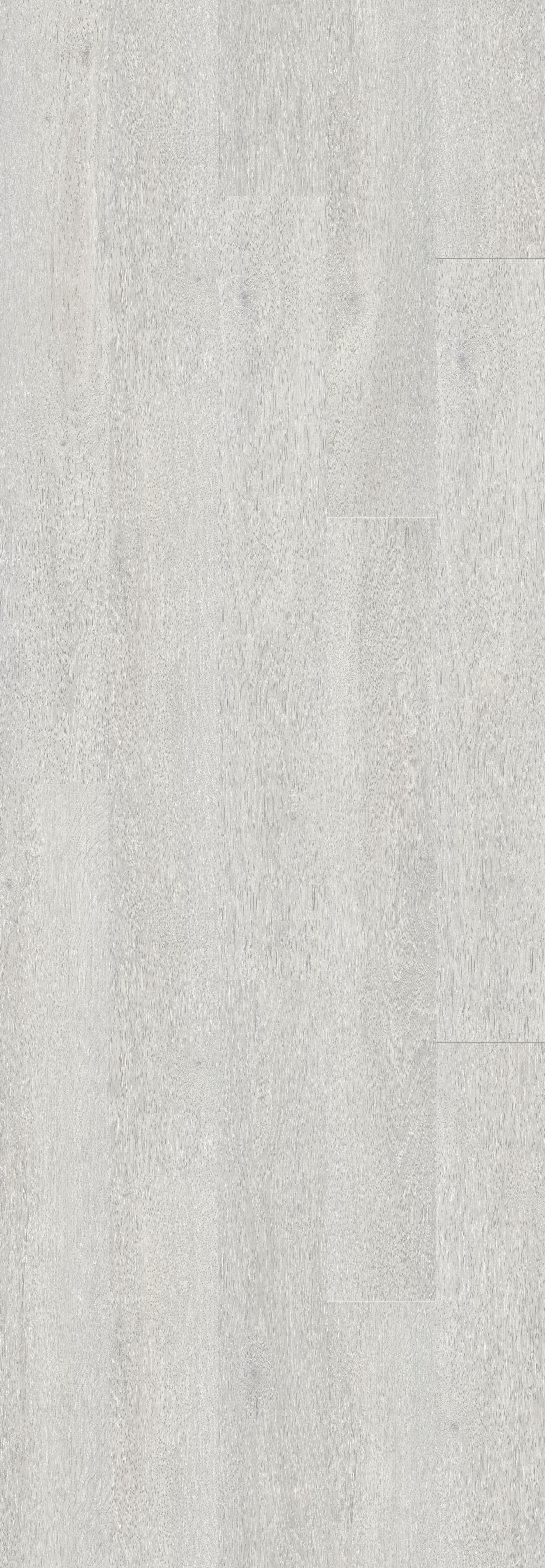 DAB BIELONY SZARY (V3131-40082) 3020mm x 1050mm