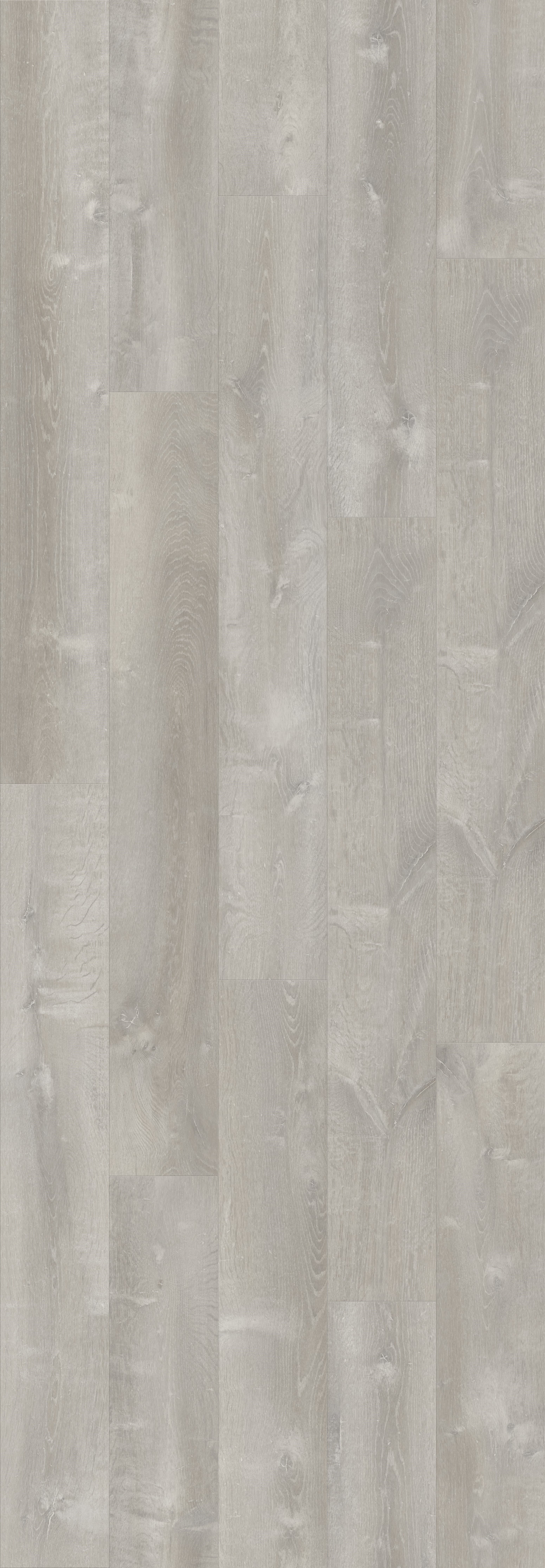 DAB RZECZNY SZARY (V2131-40084) 3020mm x 1050mm