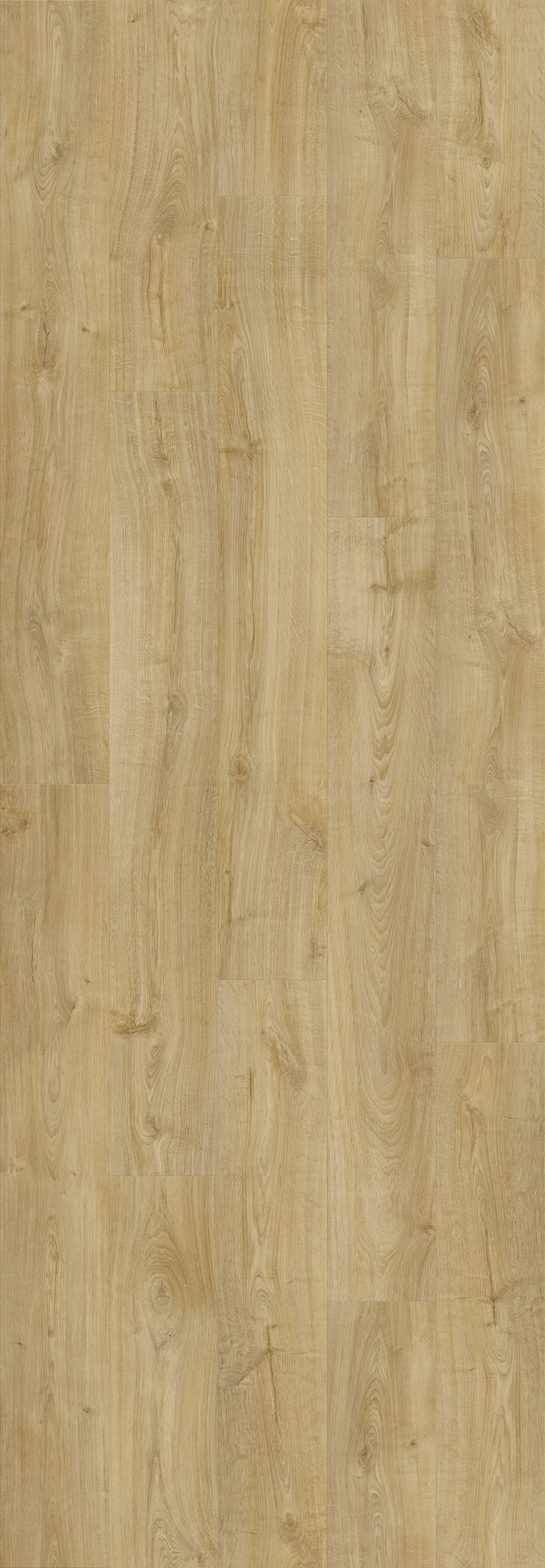 DAB WIEJSKI NATURALNY (V3131-40096) 3020mm x 1050mm