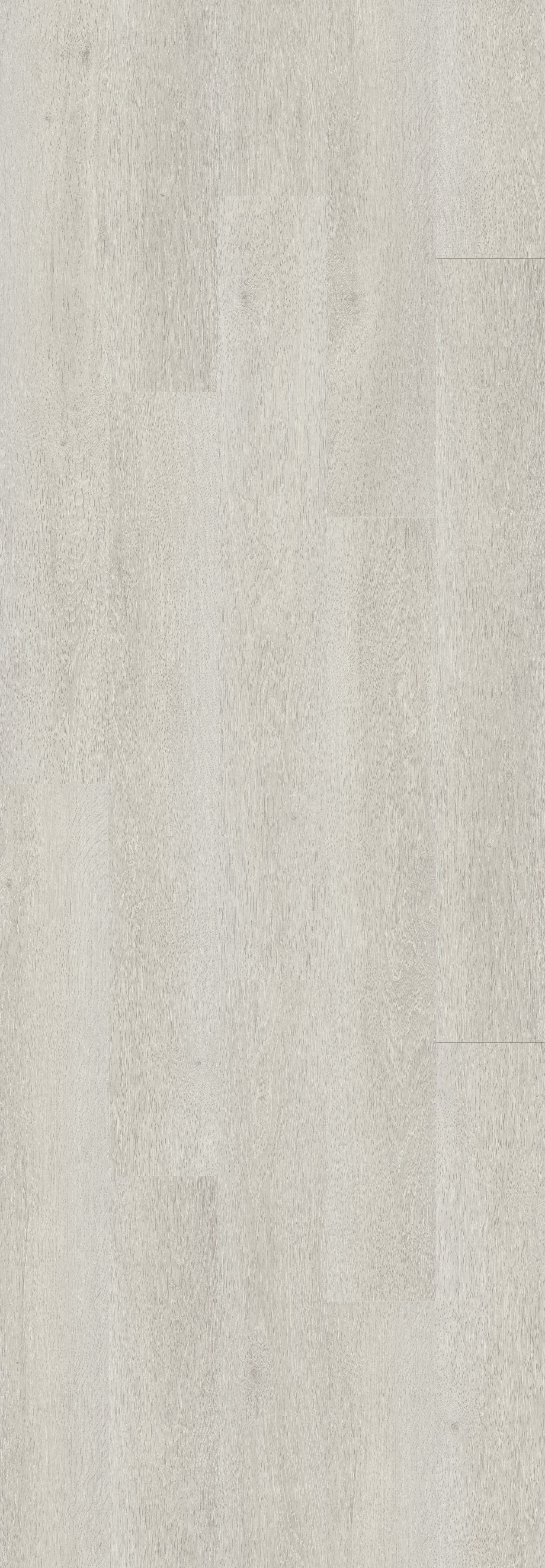 DAB BIELONY JASNY (V2131-40079) 3020mm x 1050mm