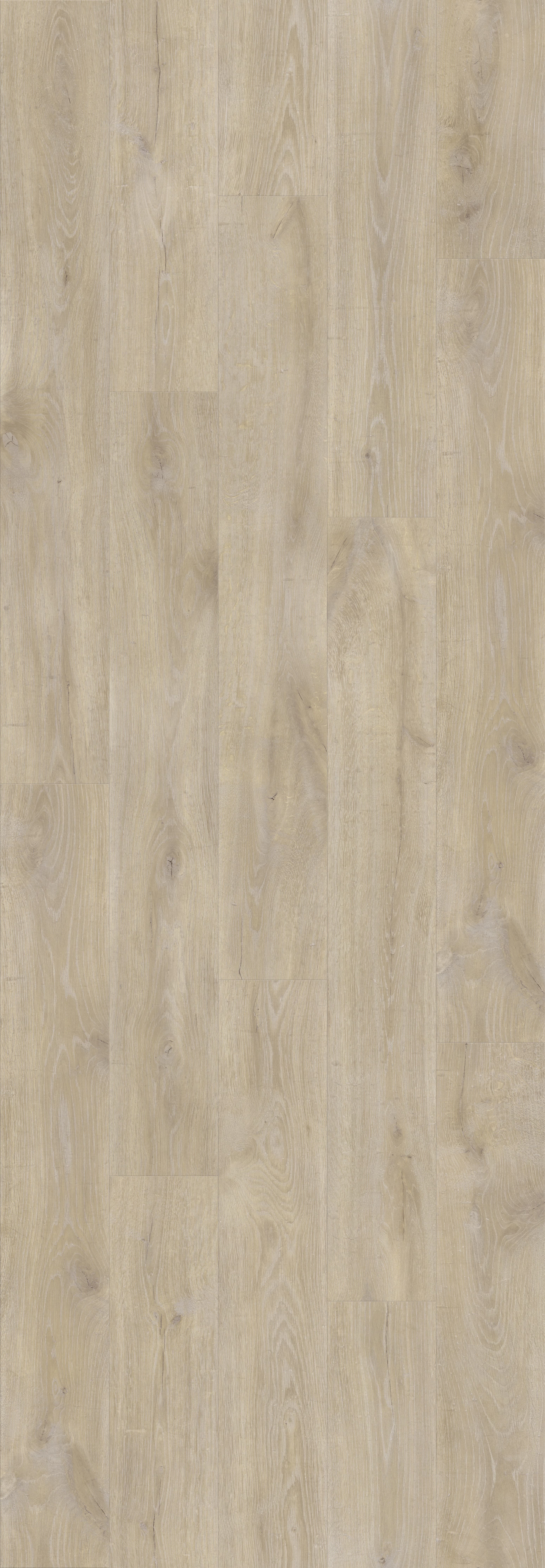 DAB GORSKI JASNY (V2131-40100) 3020mm x 1050mm