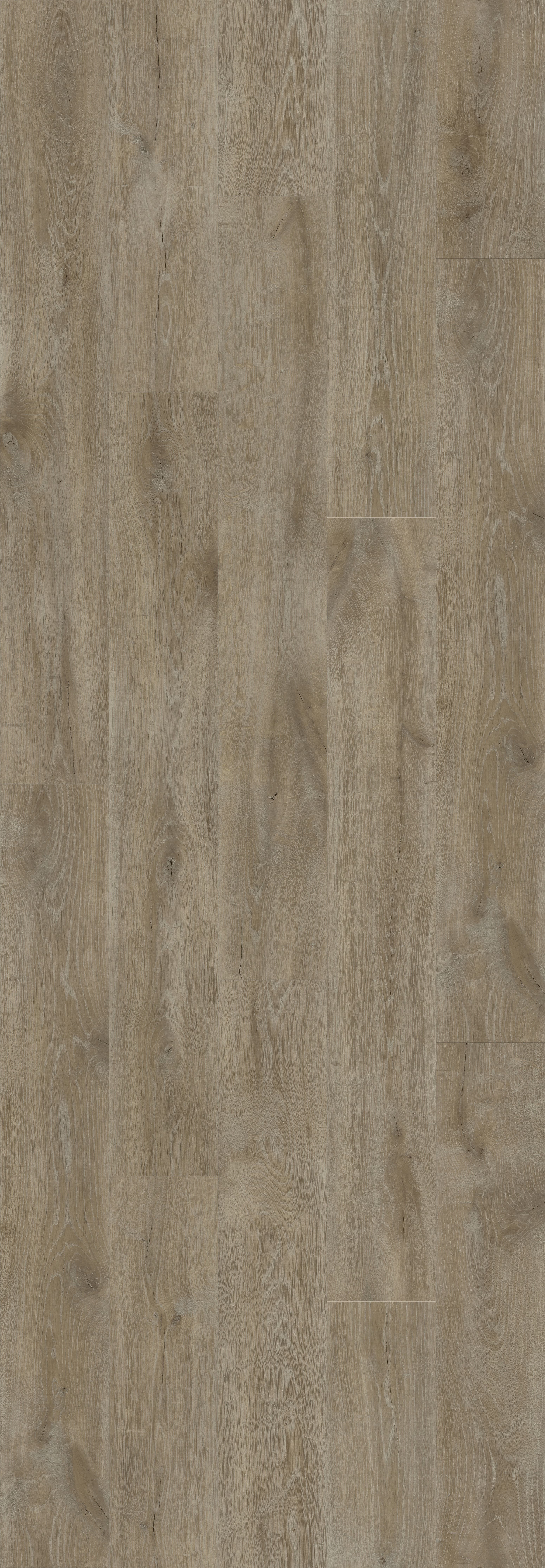 DAB GORSKI CIEMNY (V2131-40102) 3020mm x 1050mm