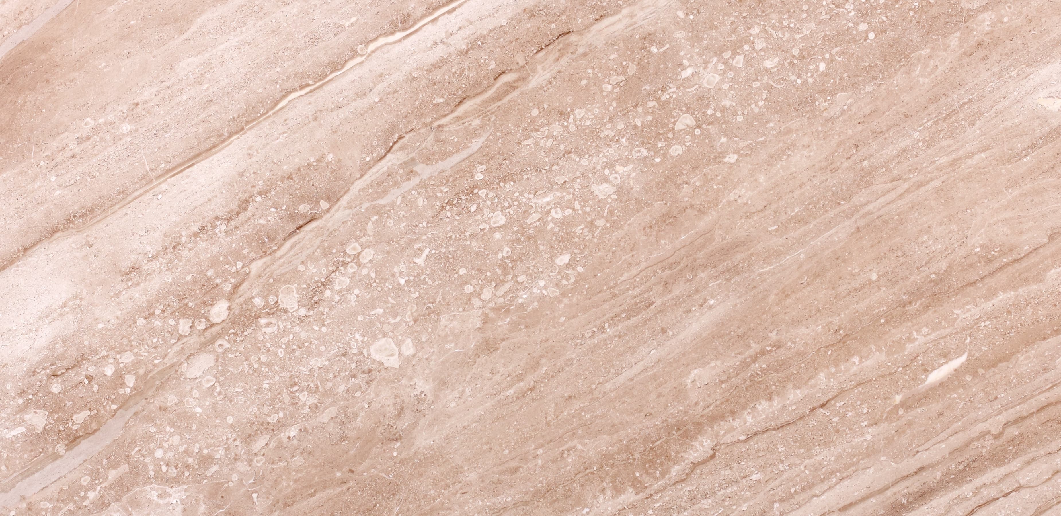 daino reale verticale