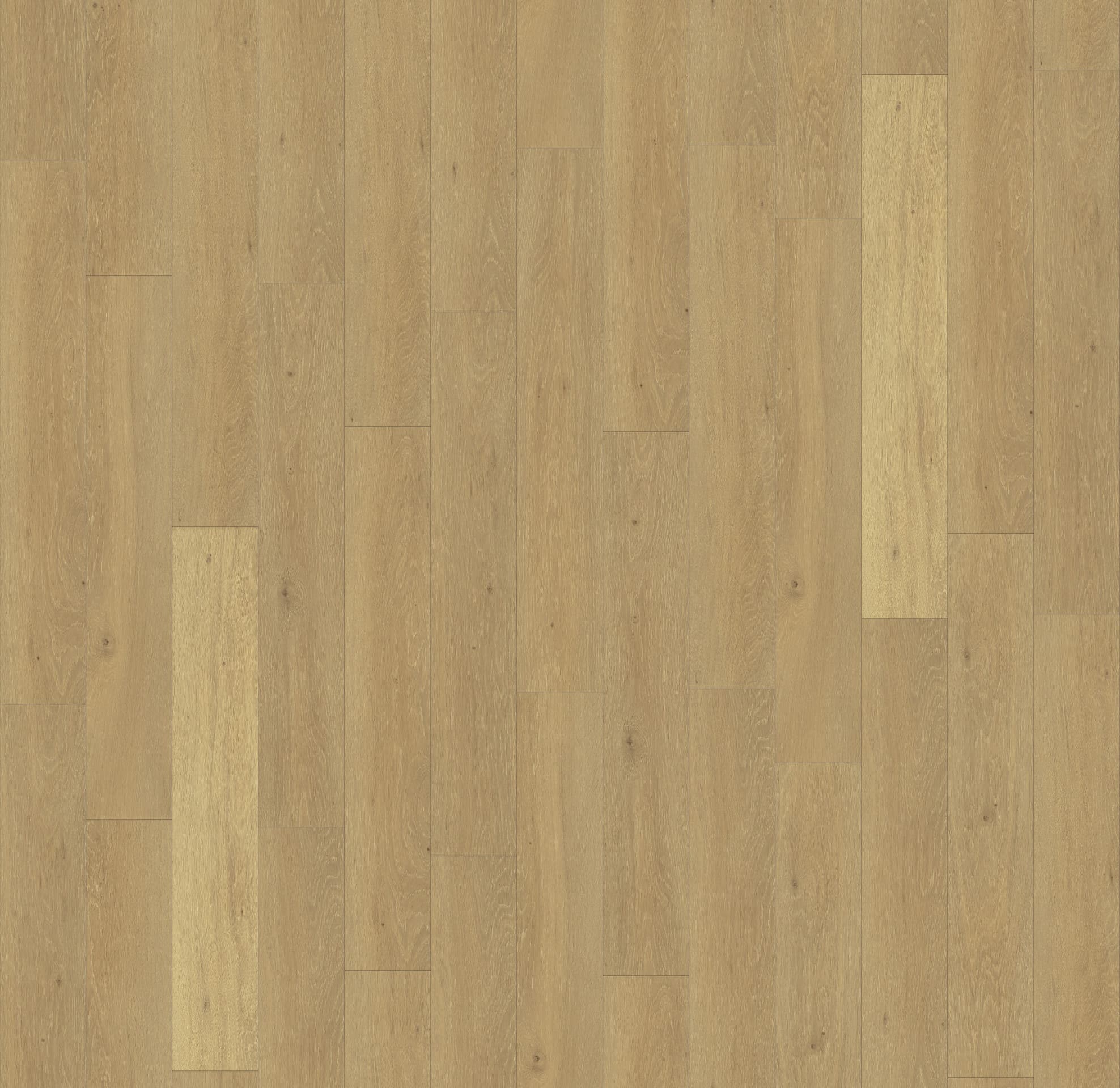 DĄB MOONLIGHT JASNY ( CLM1658 )  2470 mm x 2430 mm