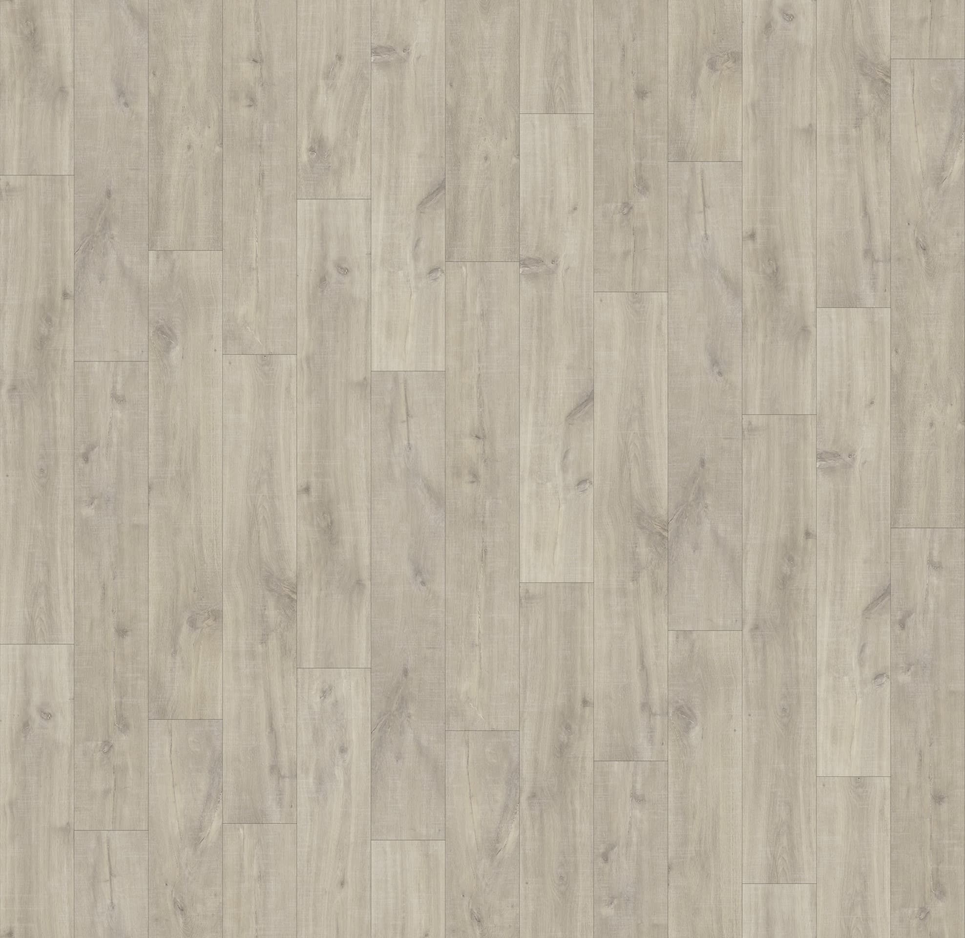 DĄB HAVANNA NATURALNY ZE ŚLADAMI CIĘCIA PIŁĄ ( CLM1656 )  2470 mm x 2430 mm