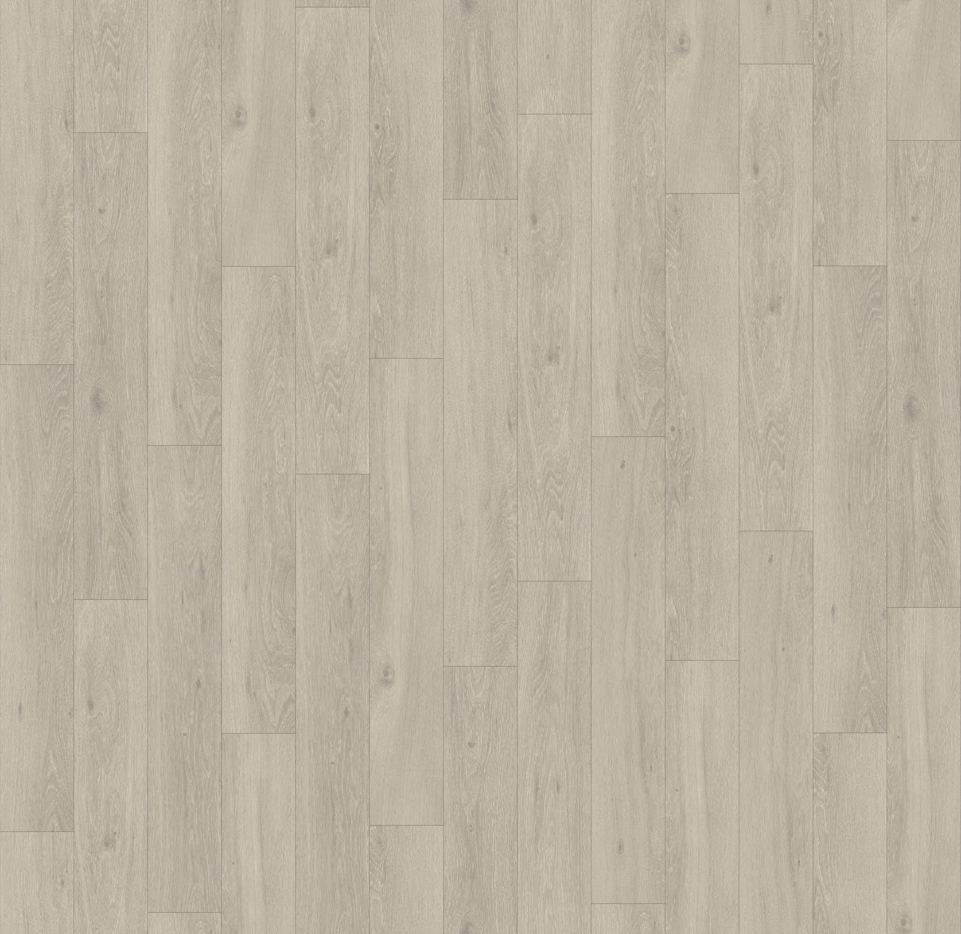 DĄB MOONLIGHT NATURALNY ( CLM1659 )  2470 mm x 2430 mm