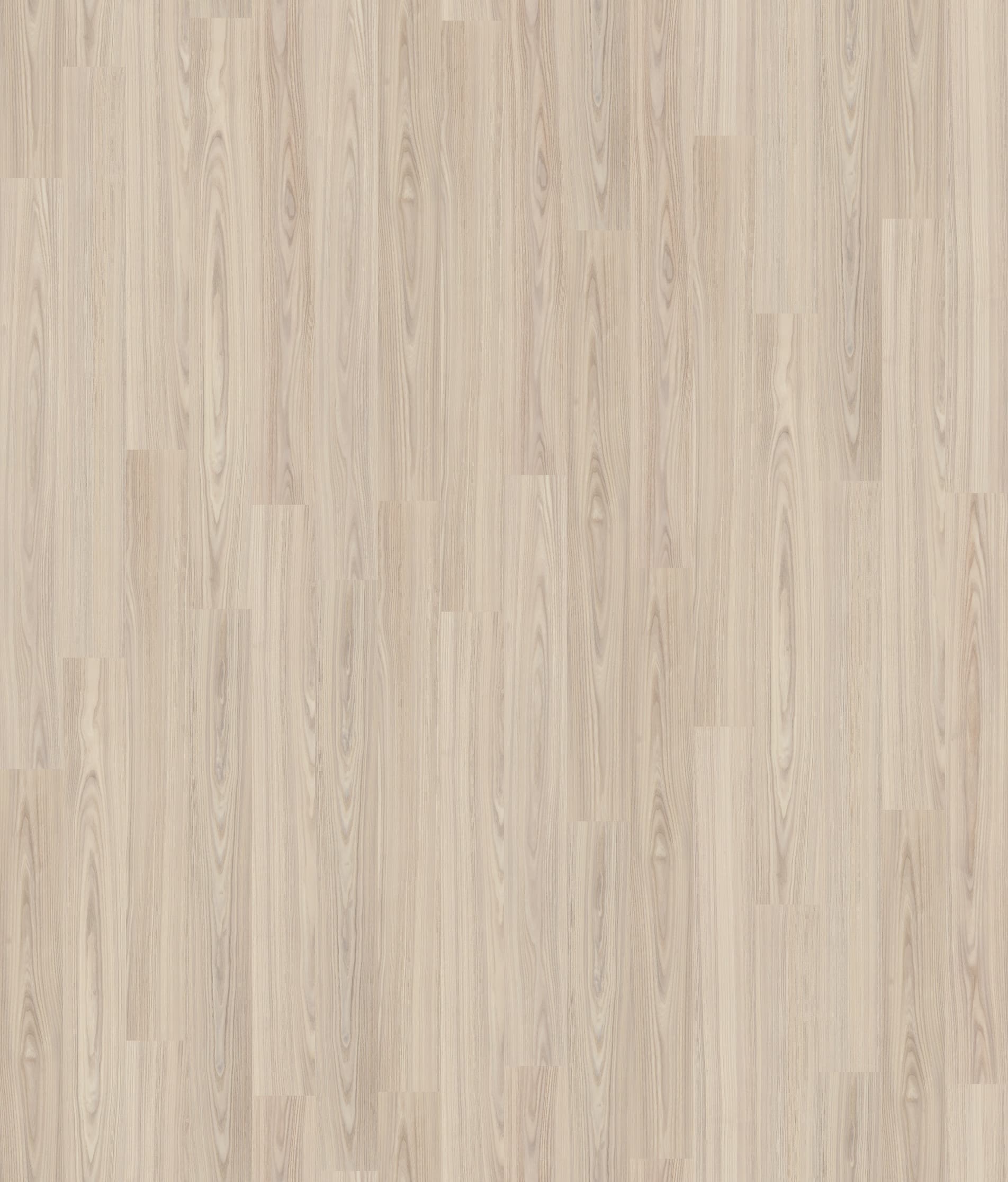 JESION BIAŁY, DESKA ( U1184 ) 2496 mm x 2870 mm