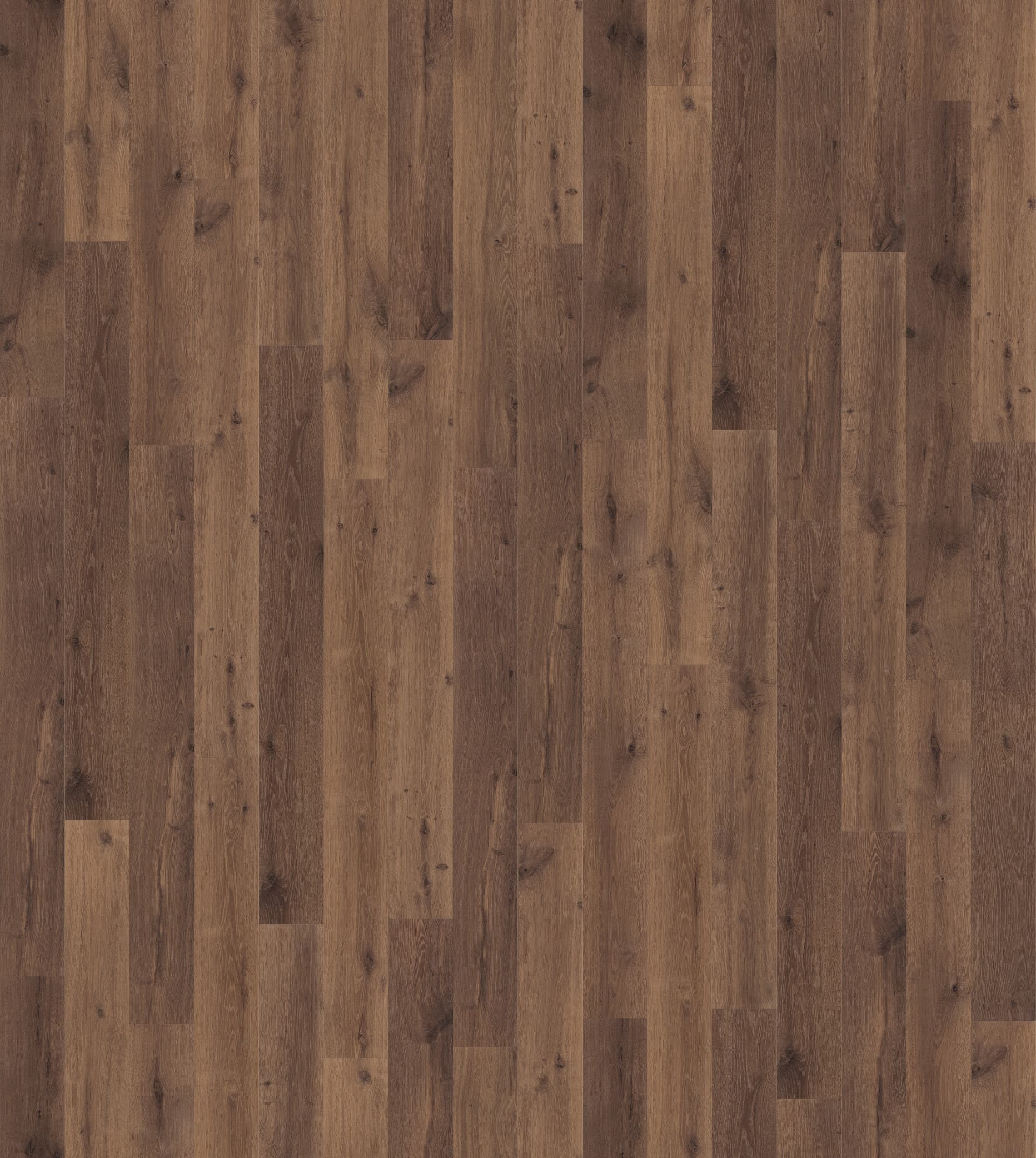 DĄB STARY CIEMNY SATYNOWY, DESKA ( U1001 ) 2496 mm x 2870 mm 