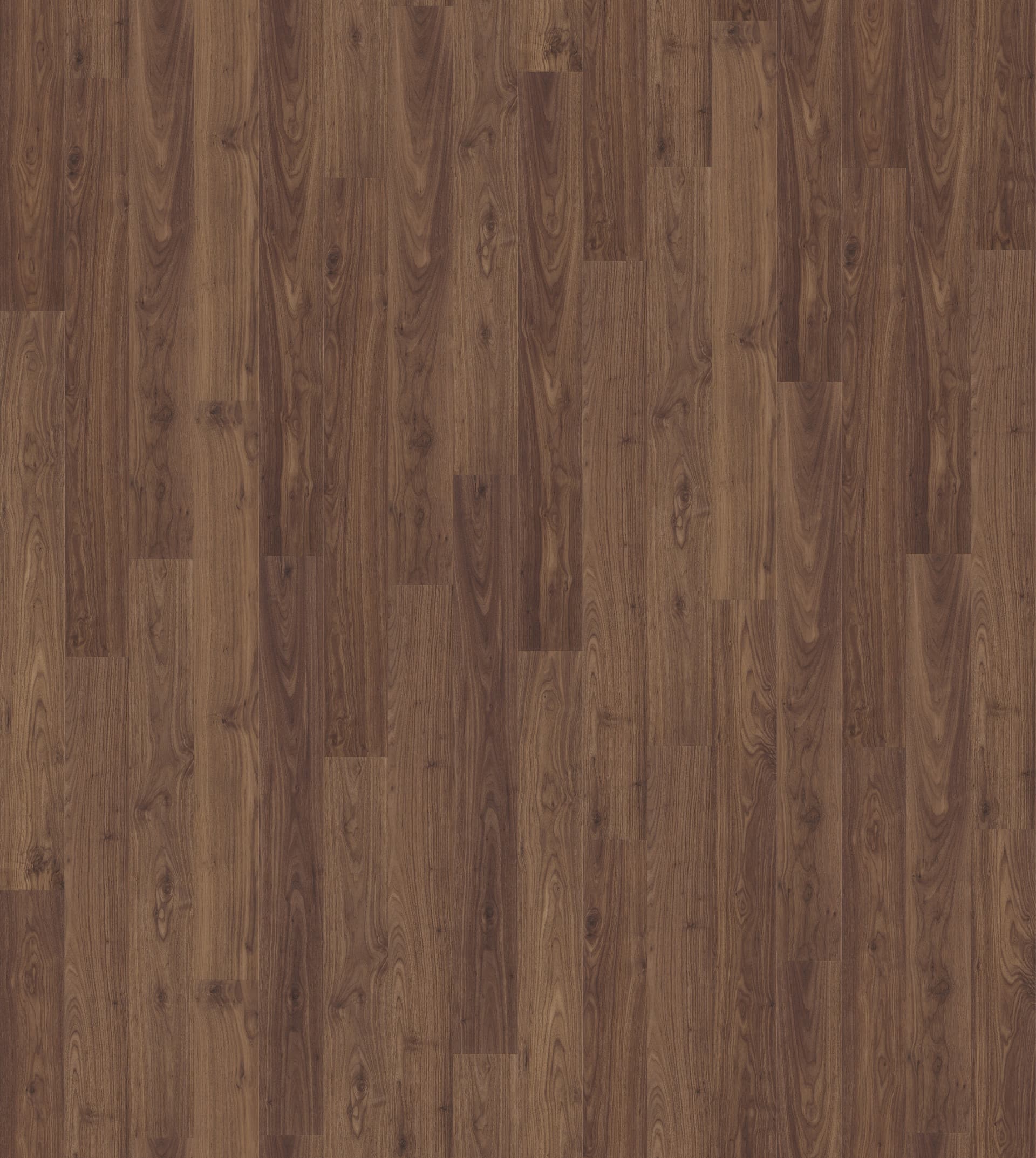 ORZECH OLEJOWANY, DESKA ( U1043 ) 2496 mm x 2870 mm