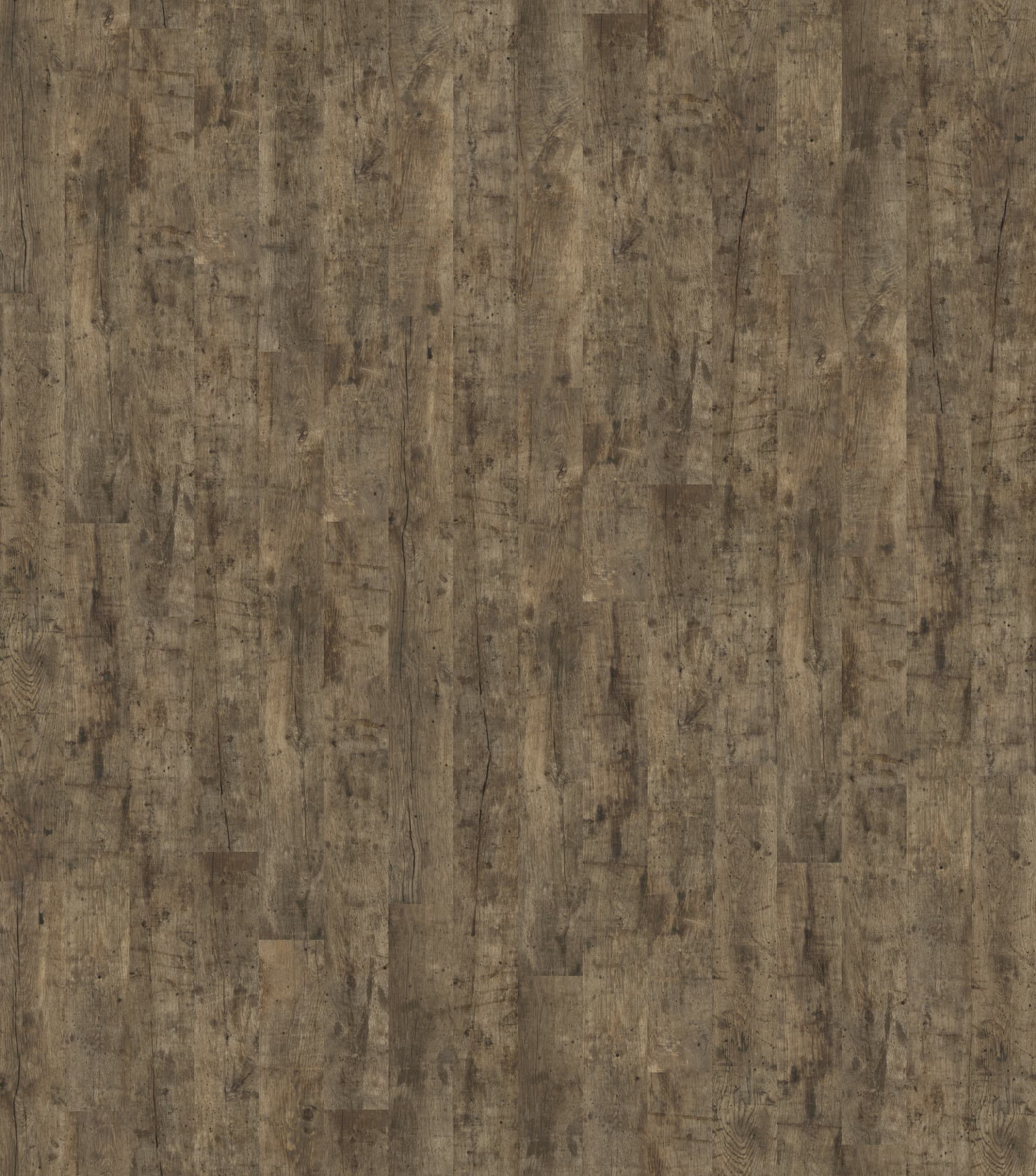 DĄB SZLACHETNY NATURALNY OLEJOWANY, DESKA ( U1157 ) 2496 mm x 2870 mm