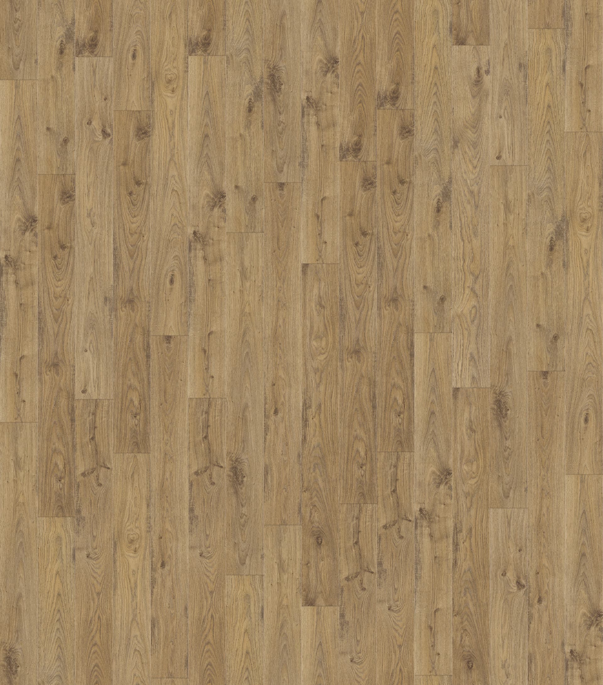 STARY DĄB BIELONY NATURALNY DESKA ( UE1493 ) 2496 mm x 2870 mm