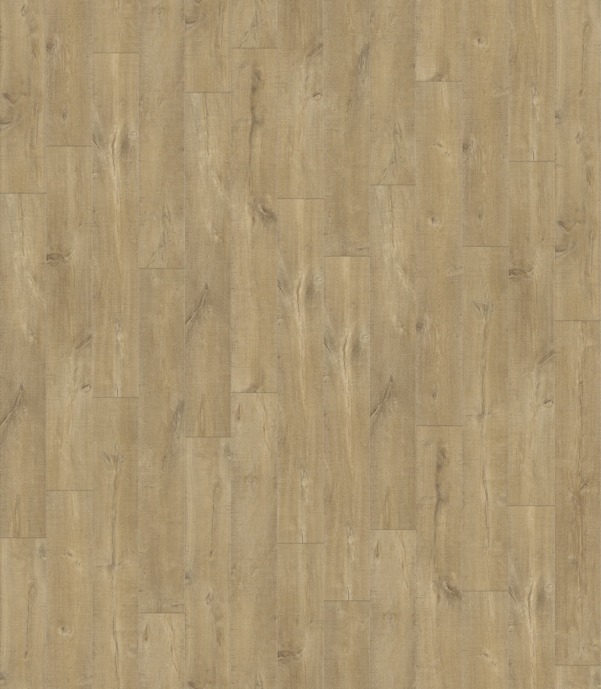 DĄB PIŁOWANY NATURALNY DESKA ( ULW1548 ) 2470 mm x 2876 mm
