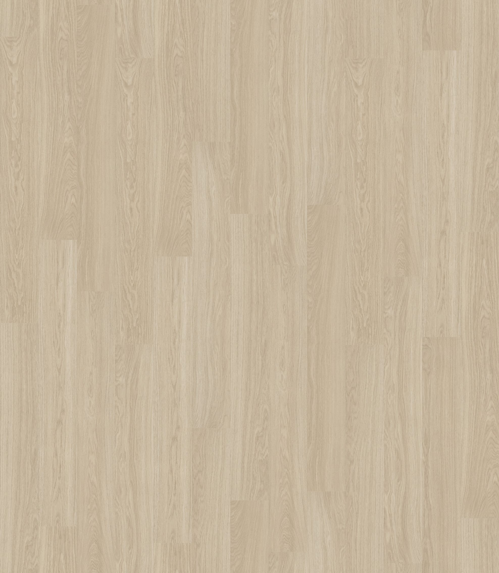 DĄB BIAŁY OLEJOWANY DESKA ( UW1538 ) 2470 mm x 2845 mm