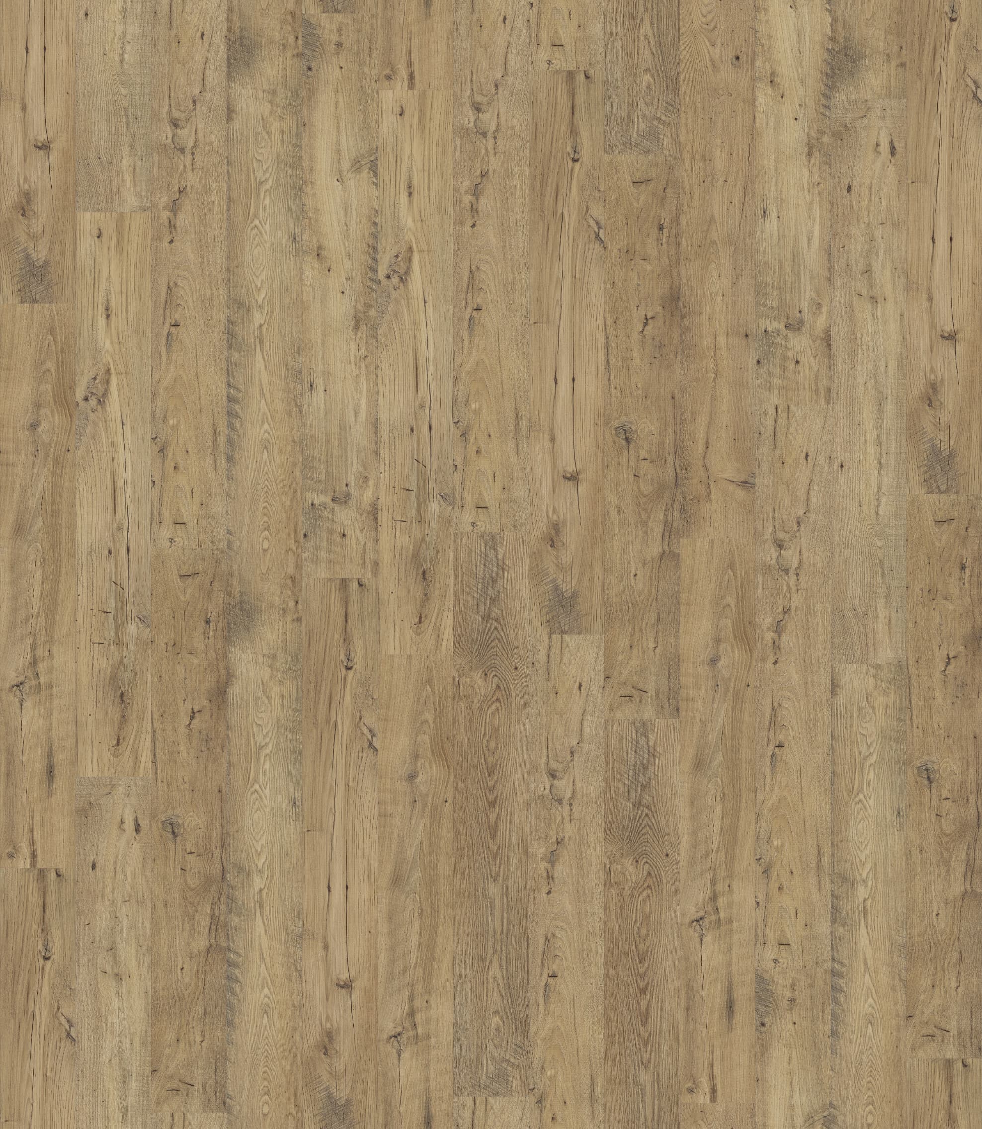 KASZTANOWIEC NATURALNY DESKA ( UW1541 ) 2470 mm x 2845 mm