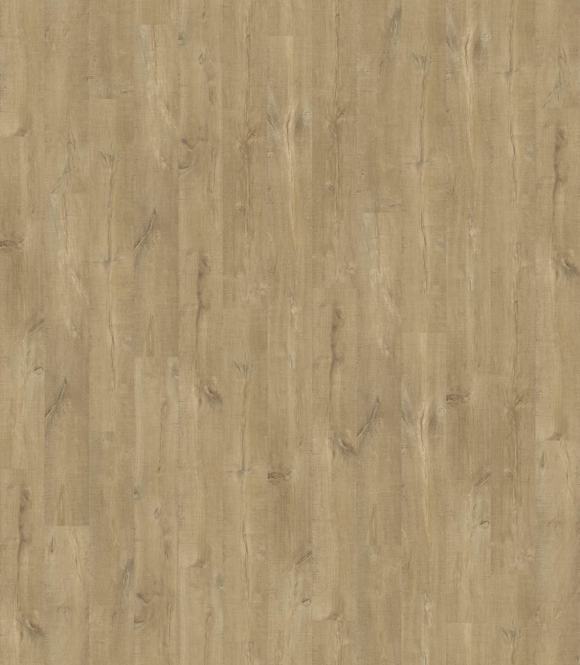 DĄB PIŁOWANY NATURALNY DESKA ( UW1548 ) 2470 mm x 2845 mm