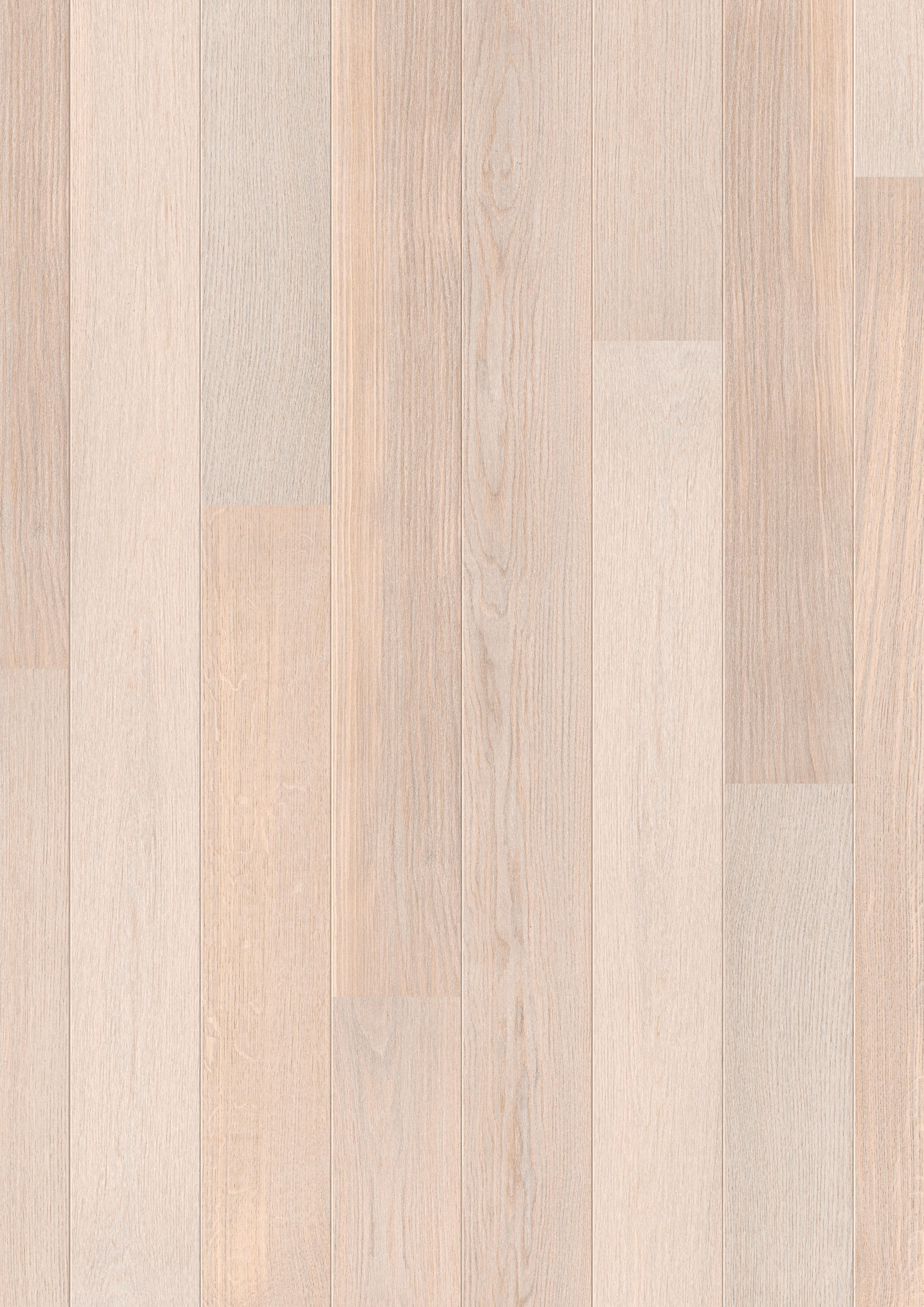 DĄB POLARNY SATYNOWY, DESKA ( CAS 1349 ) 