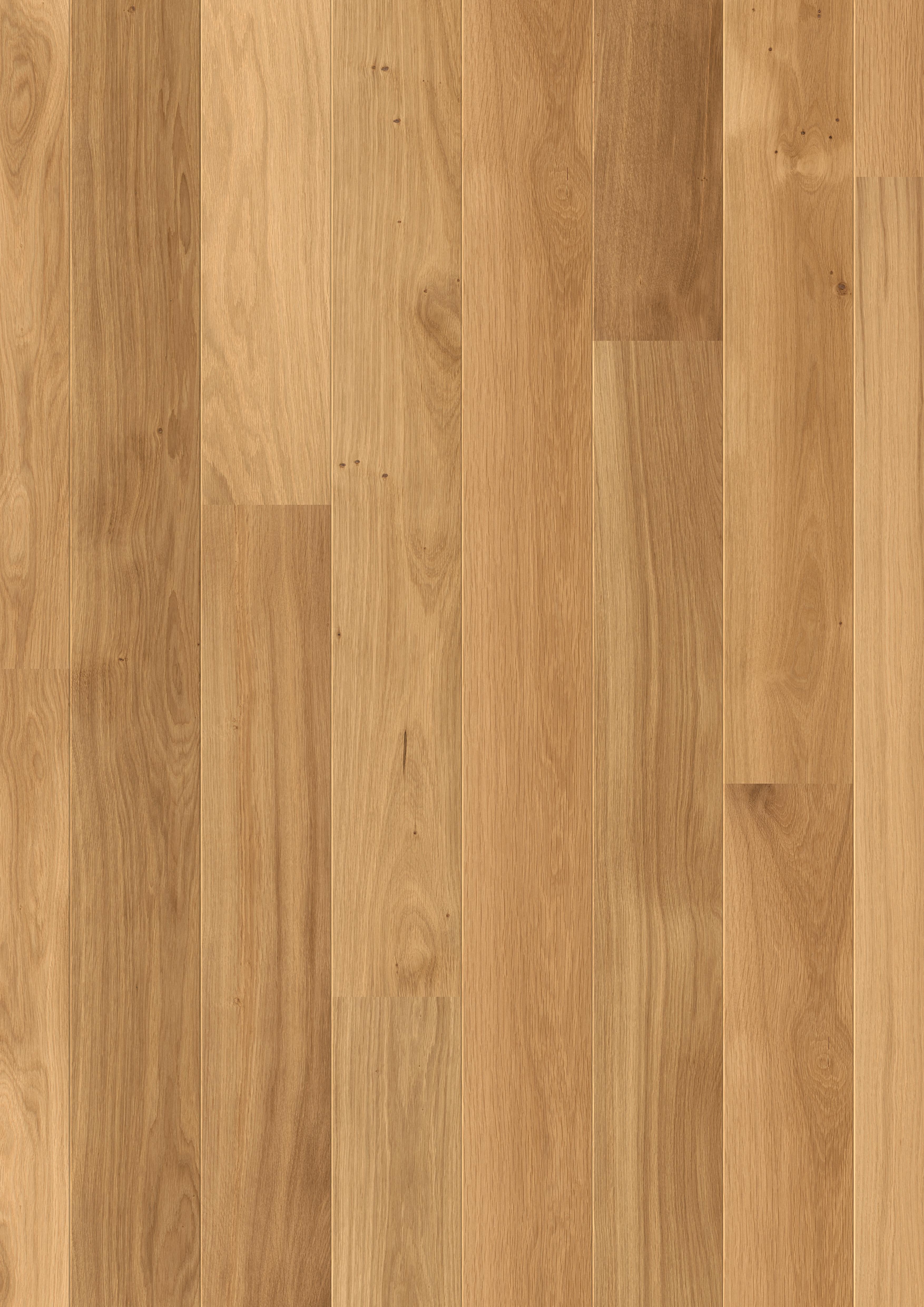 DĄB MIODOWY OLEJOWANY, DESKA ( CAS 1472 )