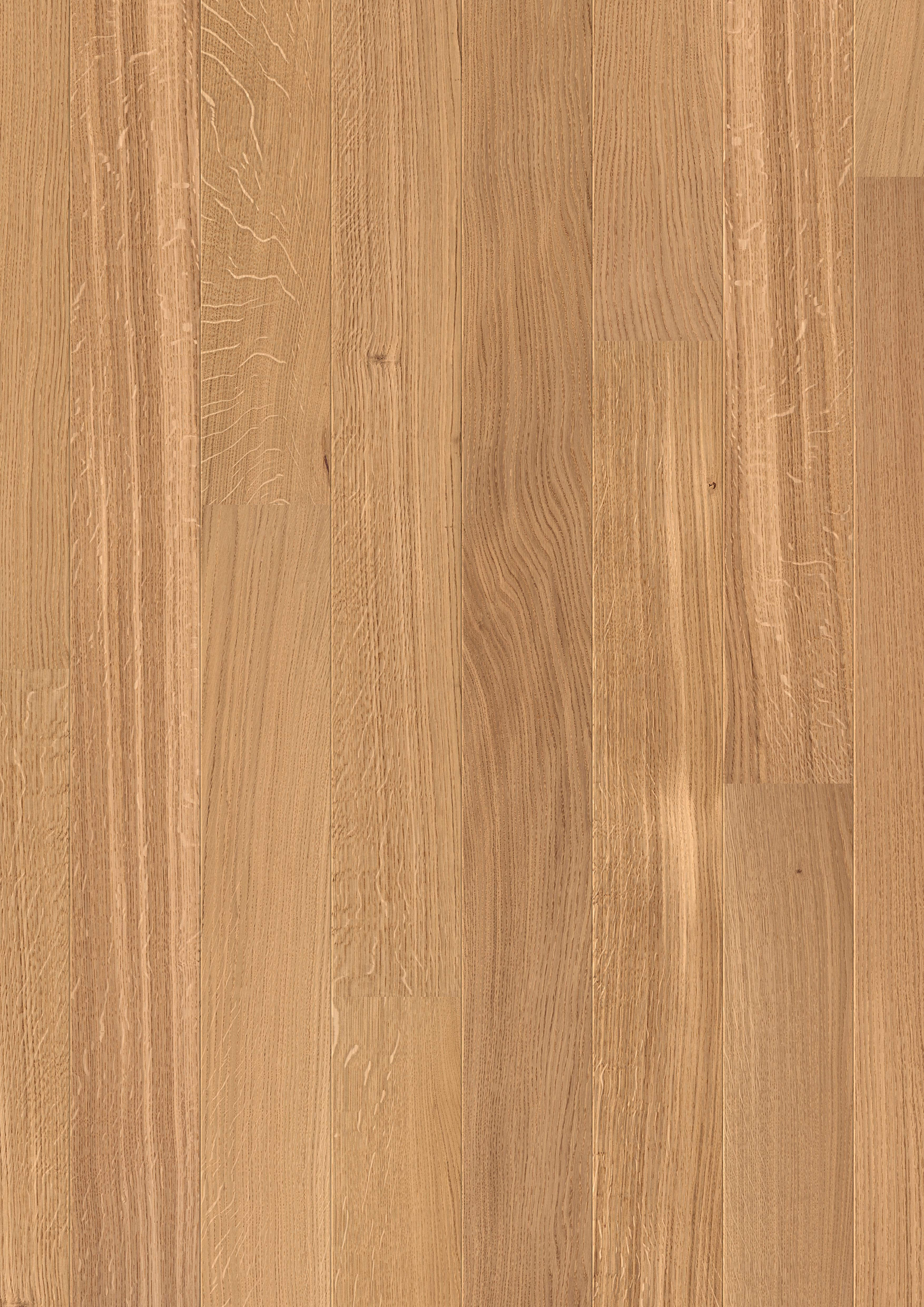 DĄB SZLACHETNY NATURALNY SATYNOWY, DESKA ( CAS 1335 )