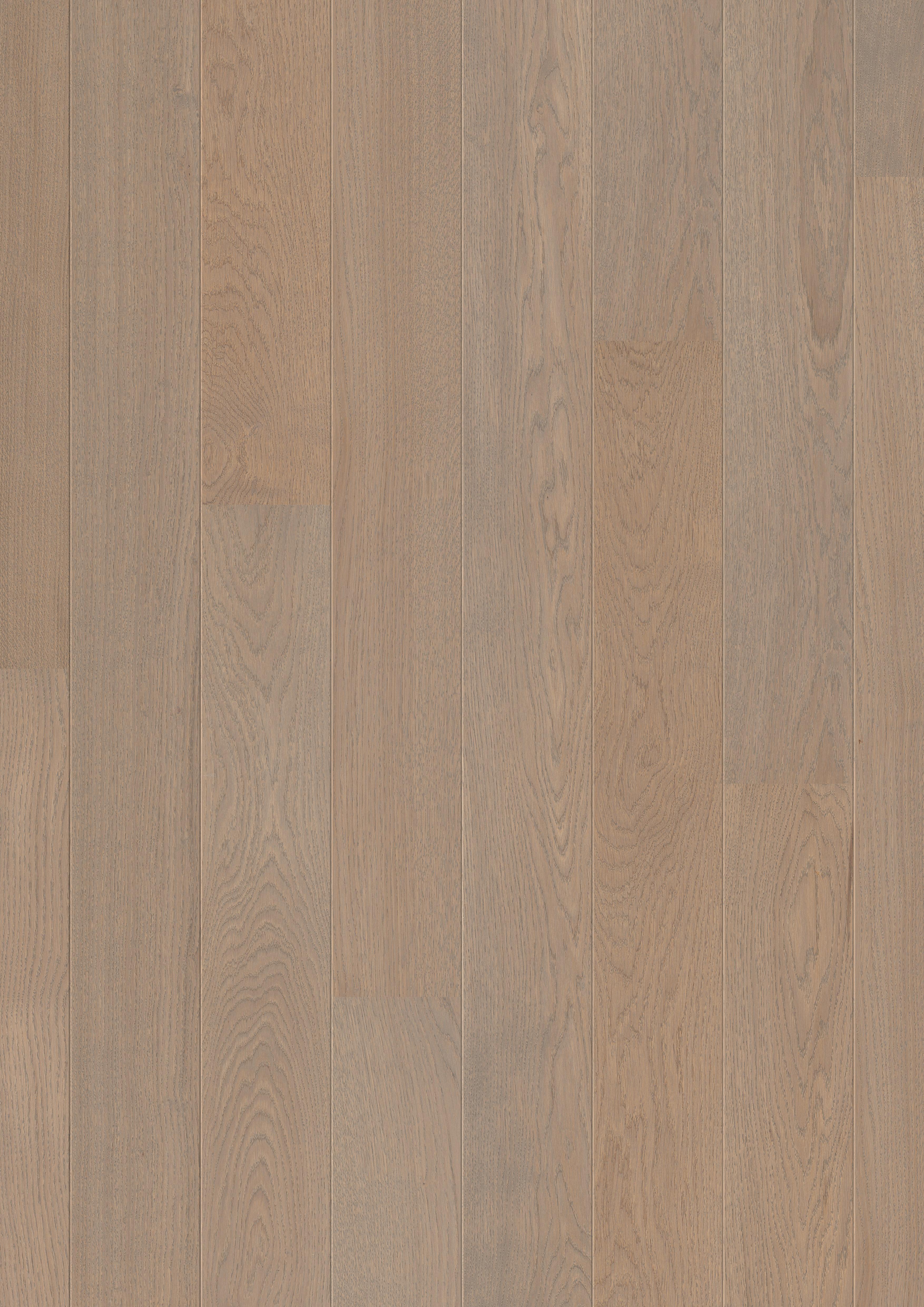 DĄB FOSSIL MATOWY, DESKA ( CAS 1342 )