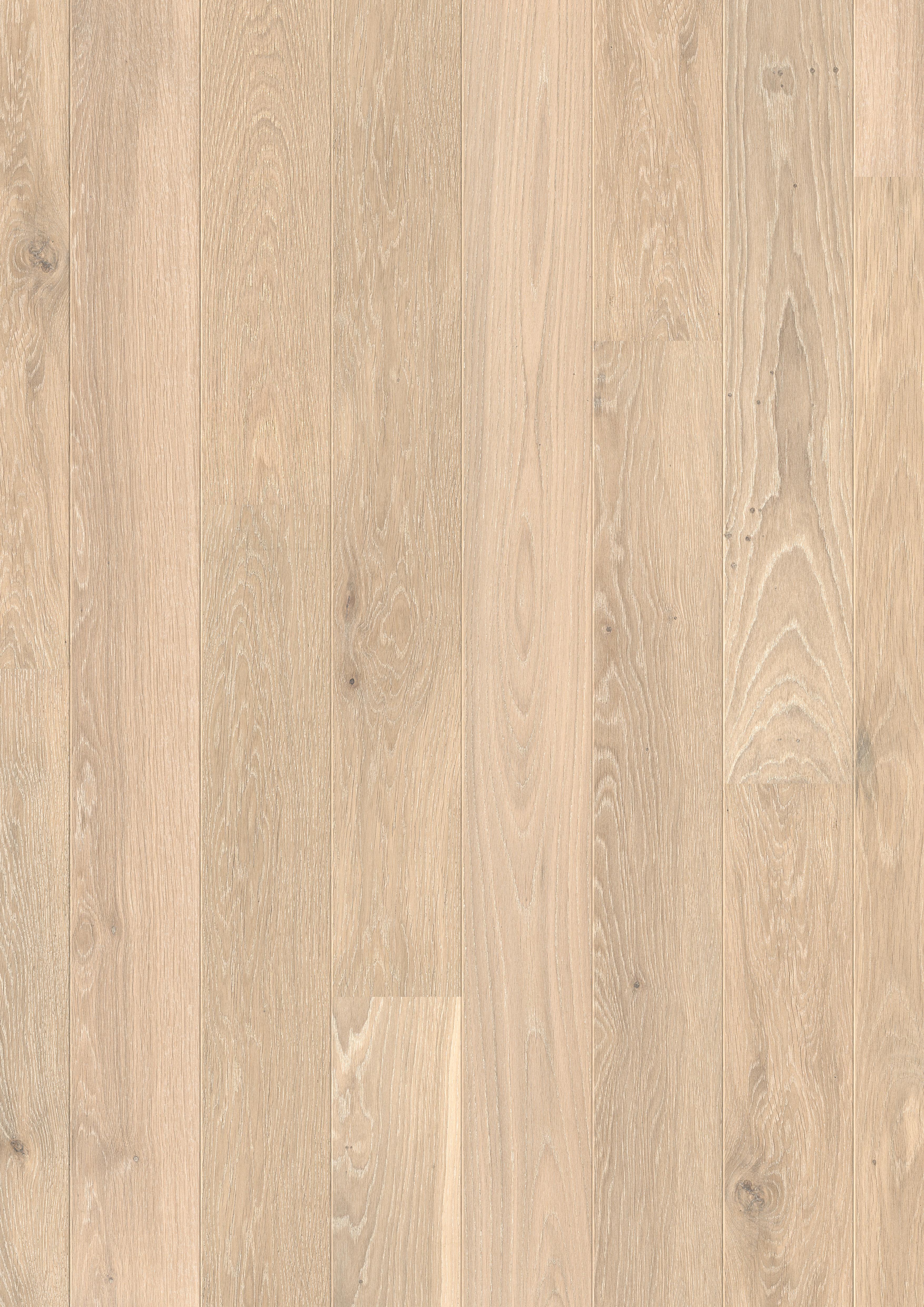 DĄB BIELONY MATOWY, DESKA ( CAS 1353 )