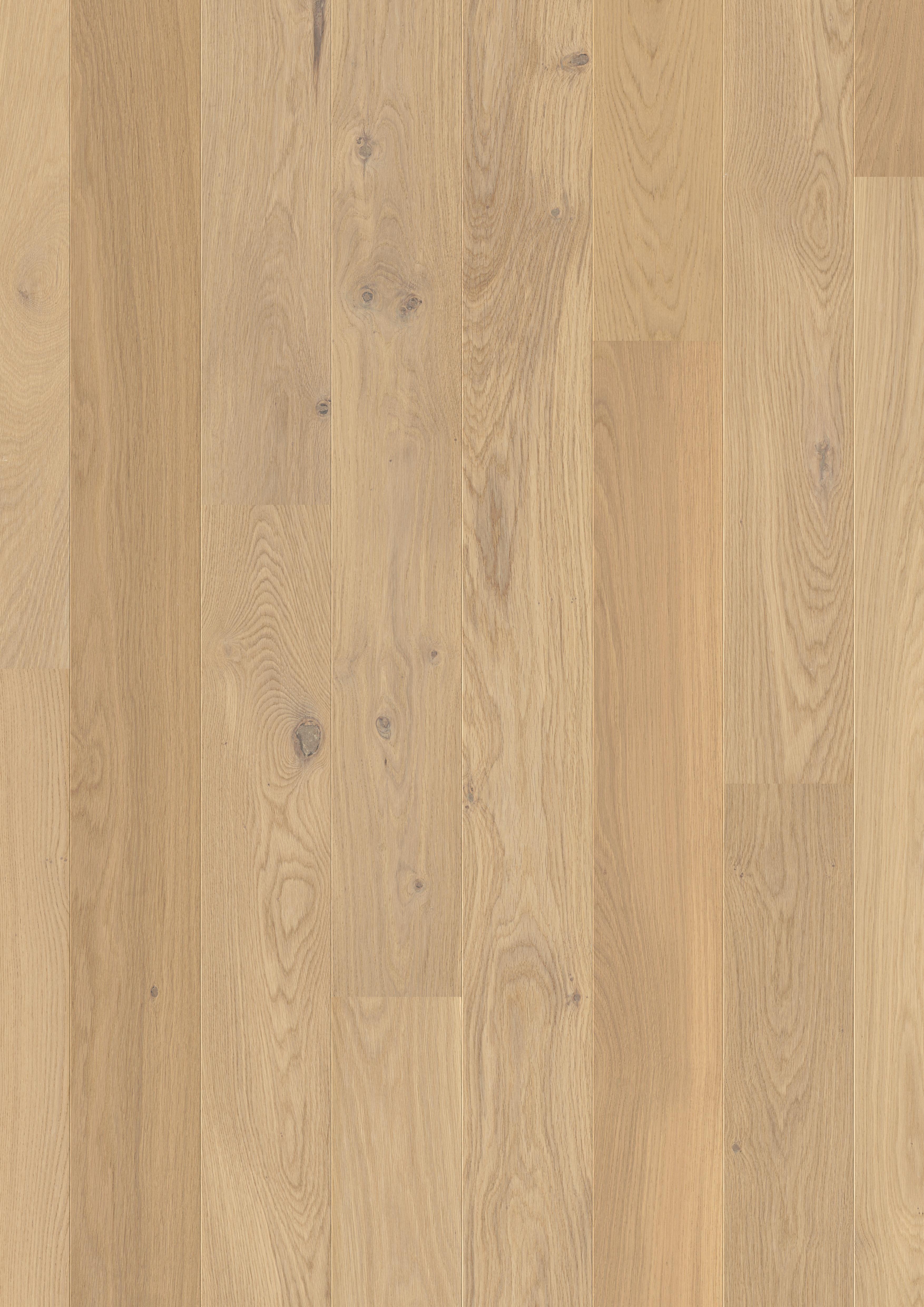 DĄB BAWEŁNIANY BIAŁY MATOWY, DESKA ( COM 1451 )