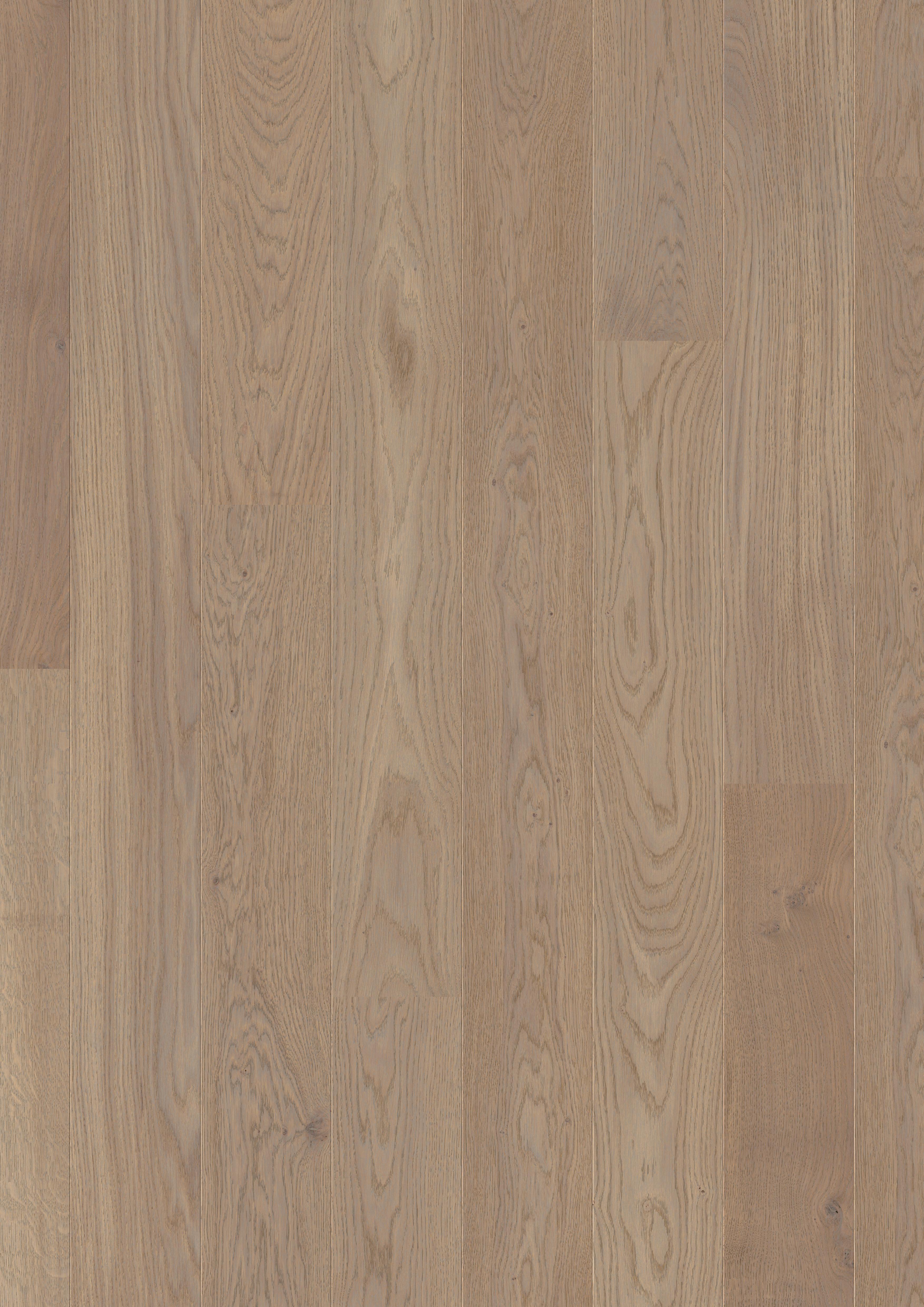 DĄB COBBLESTONE SZARY EKSTRA MATOWY, DESKA ( COM 3107 )