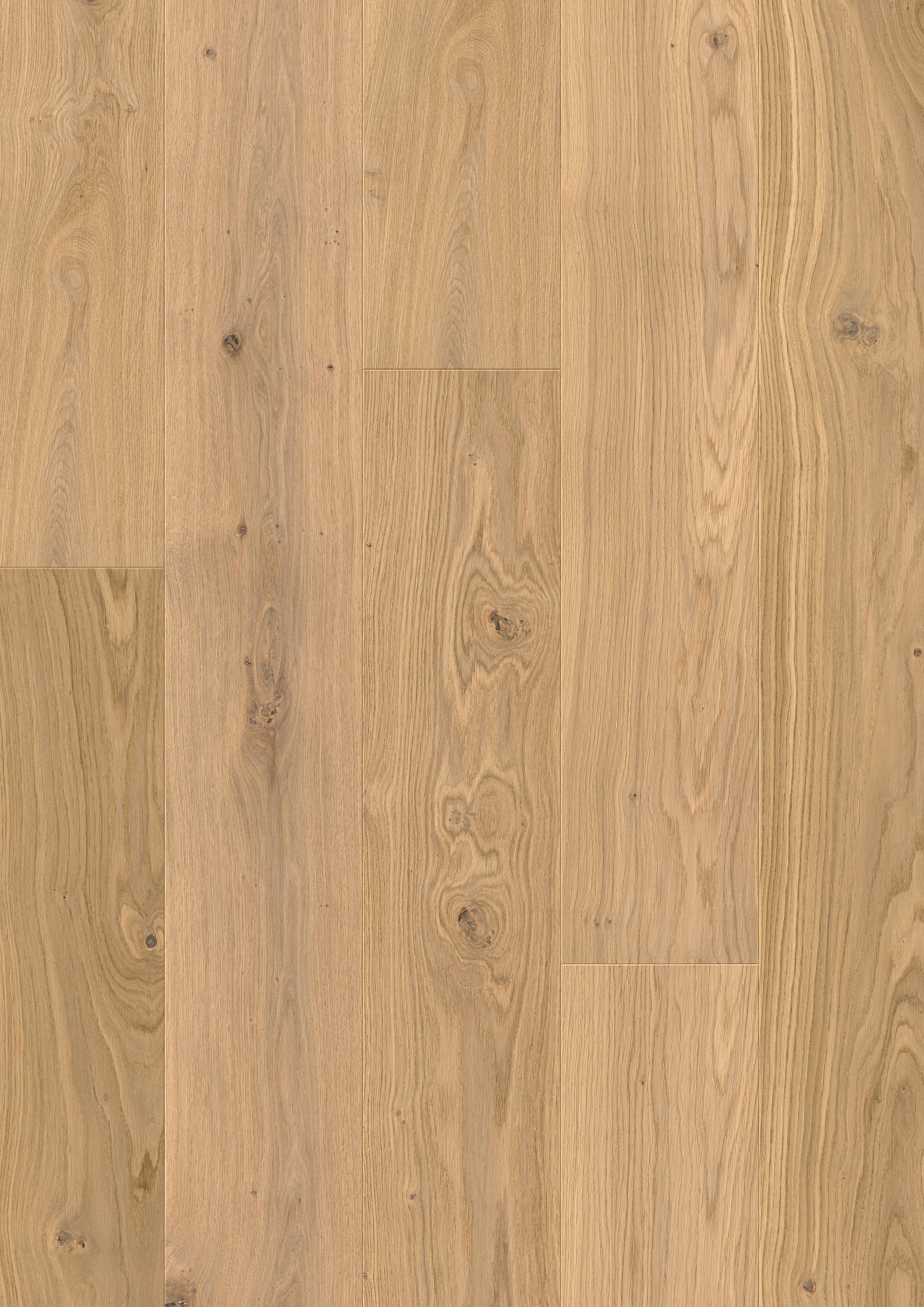 DĄB CZYSTY MATOWY, DESKA ( IMP 1623 )