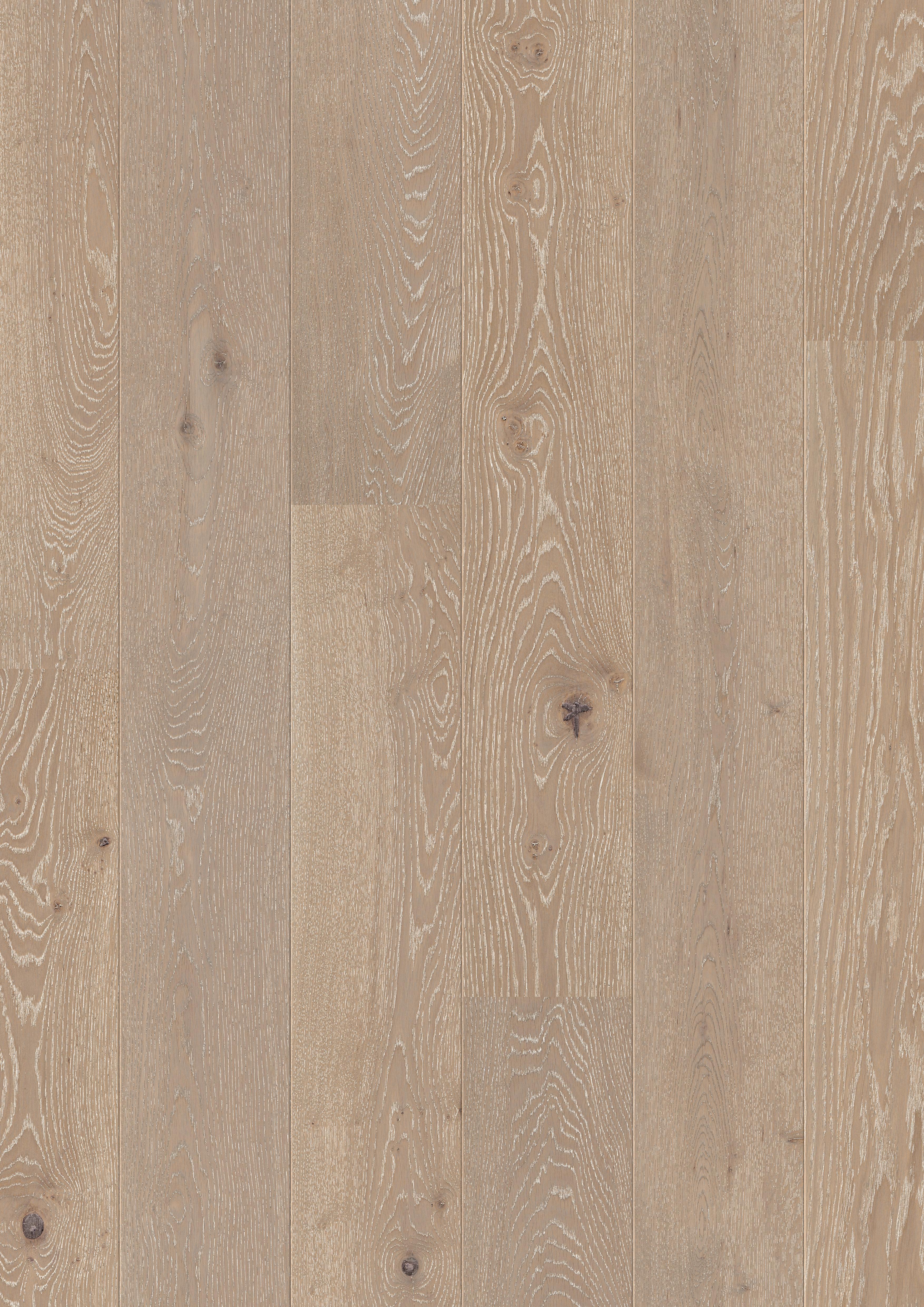 DĄB WAPNIONY SZARY MATOWY, DESKA ( PAL 1345 )