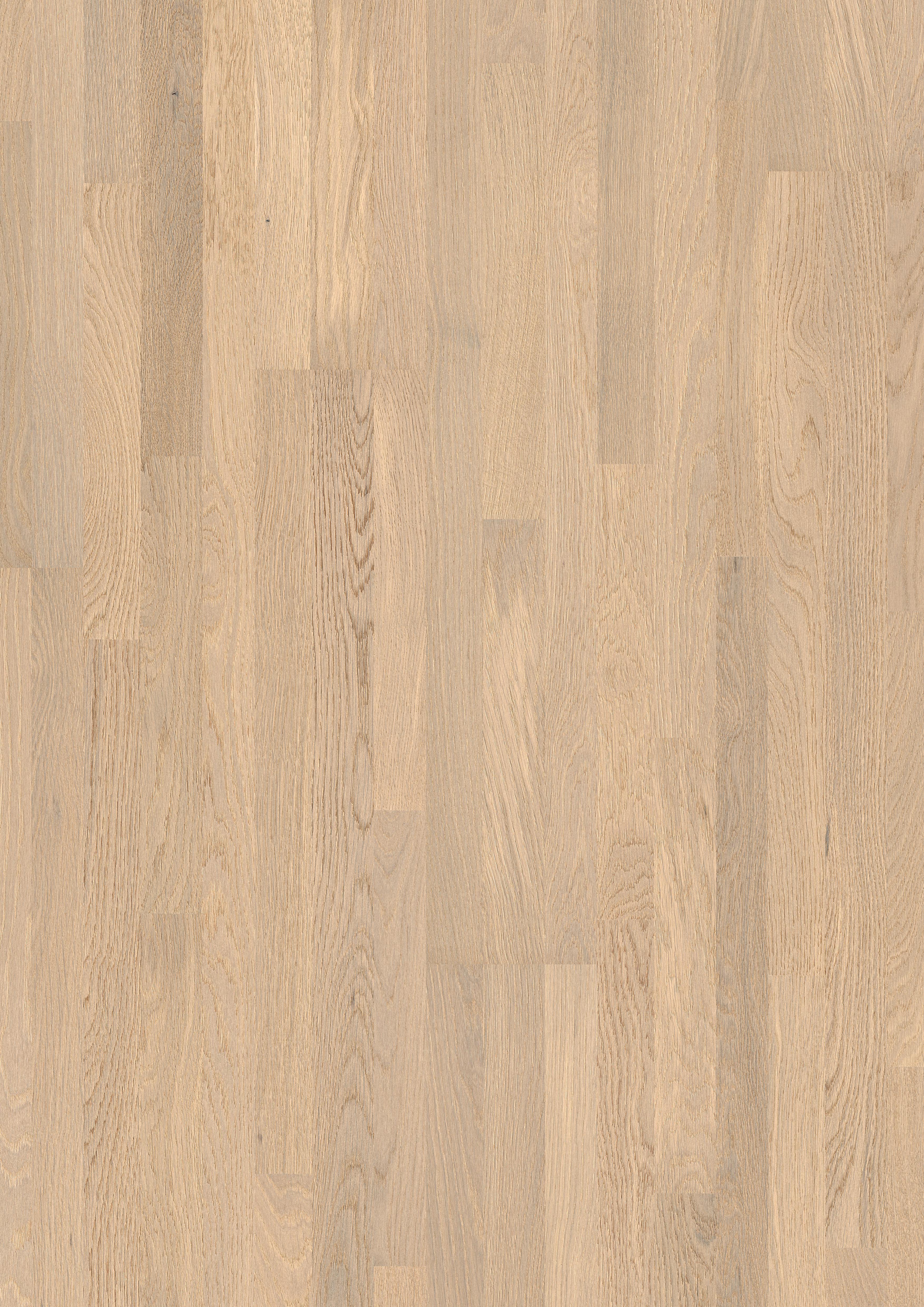 DĄB POLARNY MATOWY, DESKA TRZYLAMELOWA ( VIL 1359L )