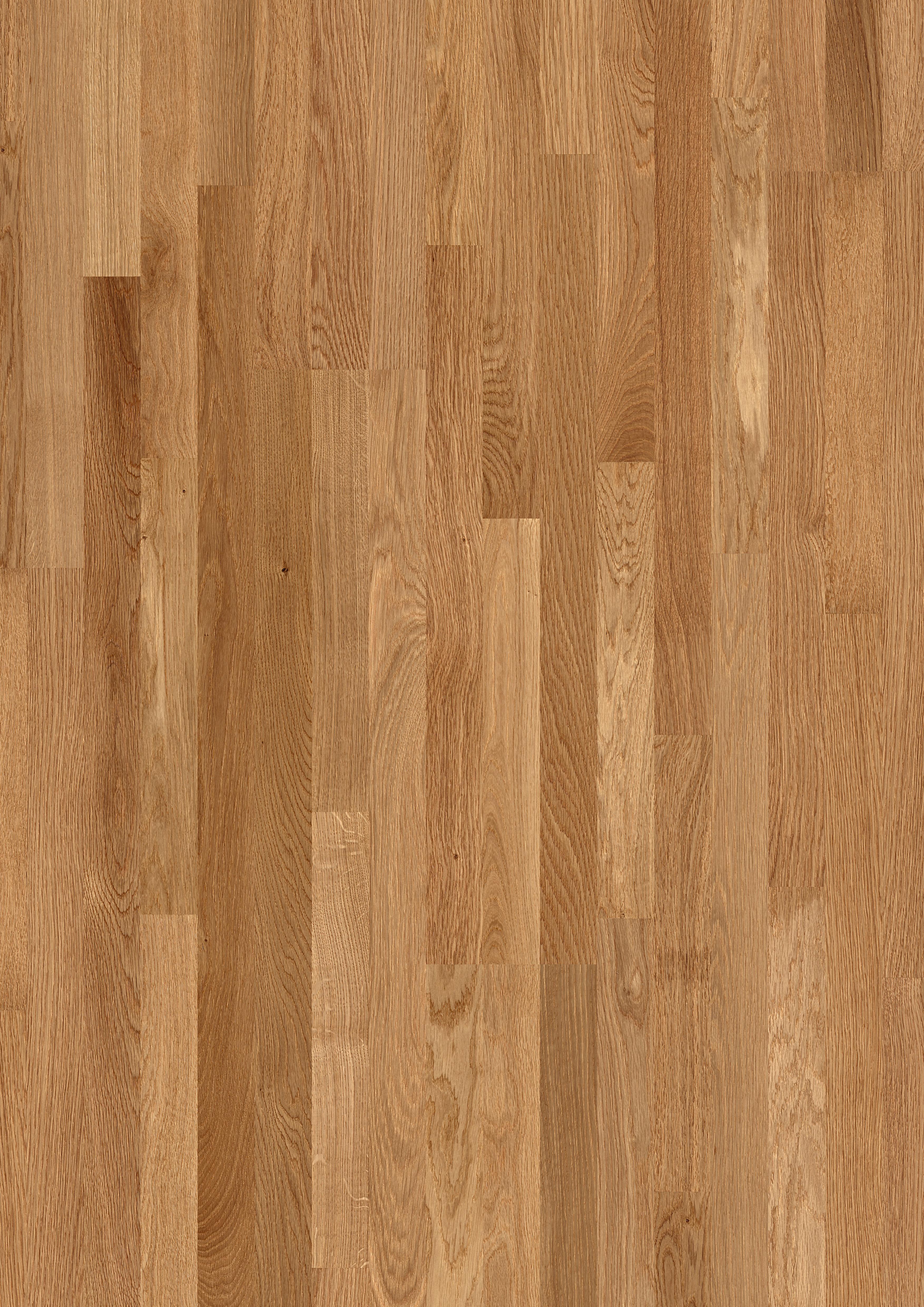 DĄB SZLACHETNY NATURALNY MATOWY, DESKA TRZYLAMELOWA ( VIL 1362L )