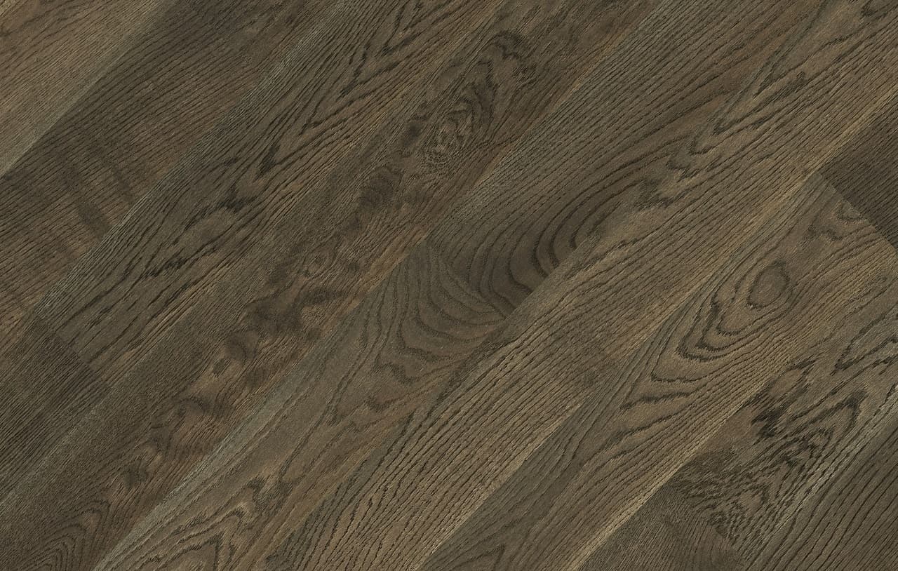 Dab Color Nero_72dpi.jpg