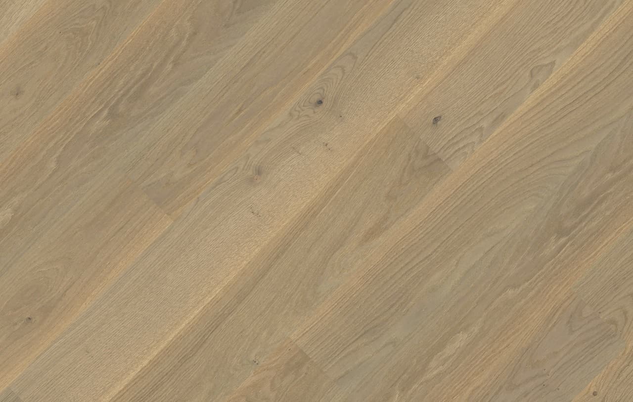 Dab Color Grigio_72dpi.jpg