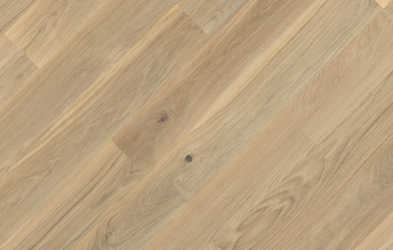 Dab Color Avorio_72dpi.jpg